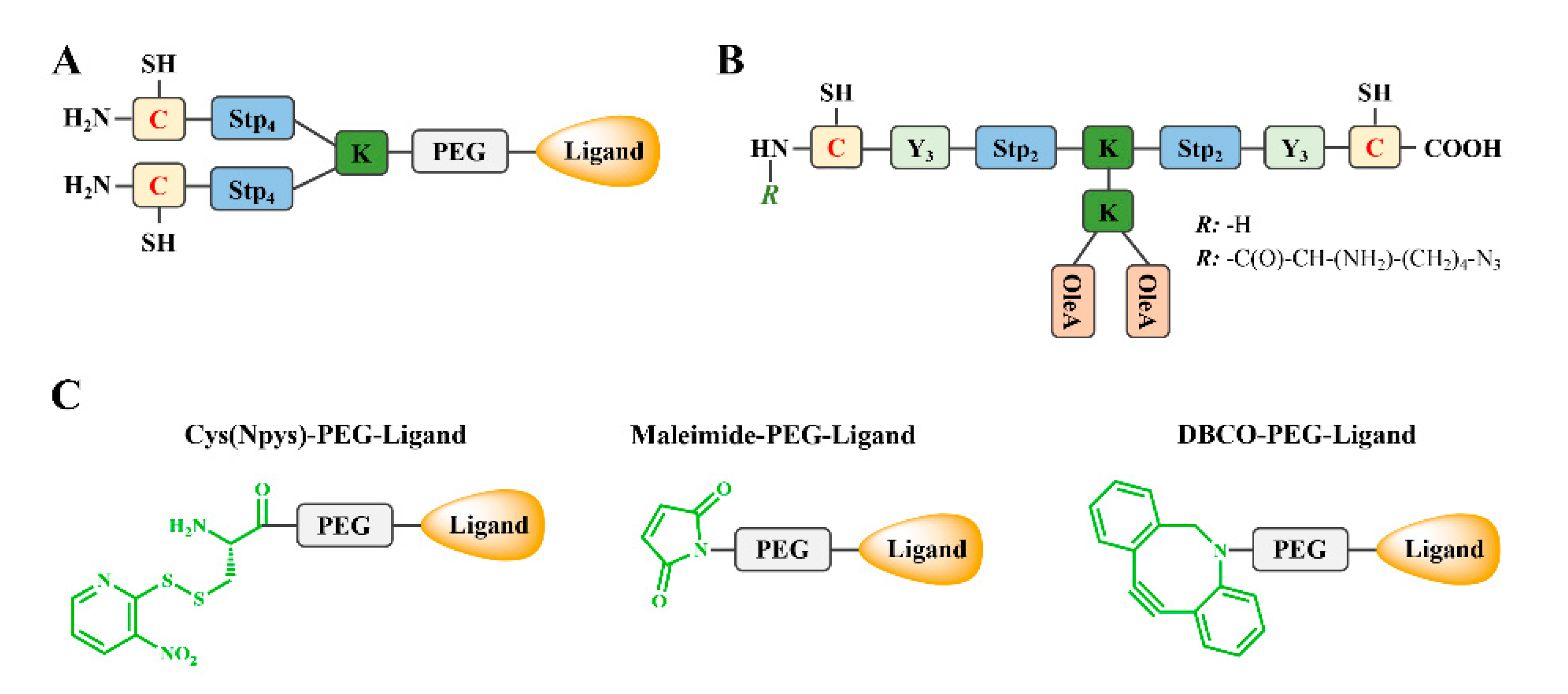 Pharmaceutics 12 00888 g005