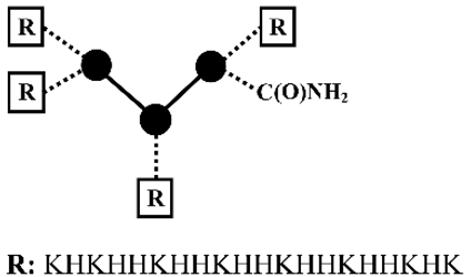 Pharmaceutics 12 00888 i002