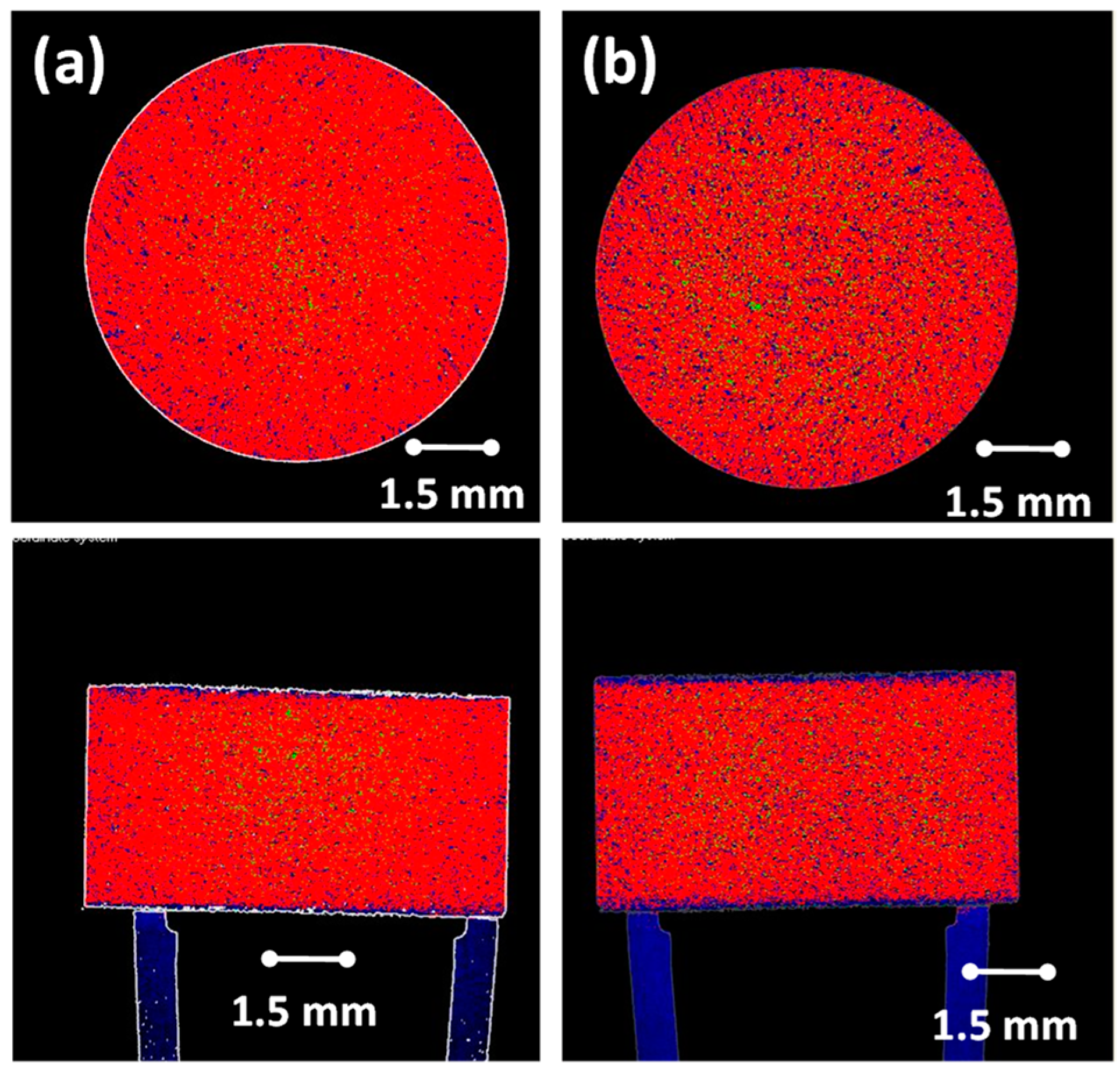Pharmaceutics 12 00889 g005 Pharmaceutics 12 00889 g005