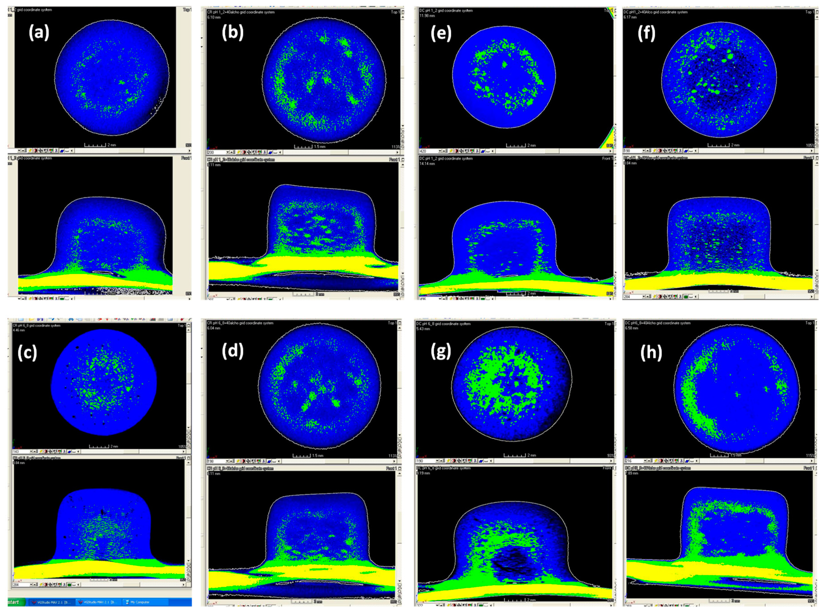 Pharmaceutics 12 00889 g006 Pharmaceutics 12 00889 g006