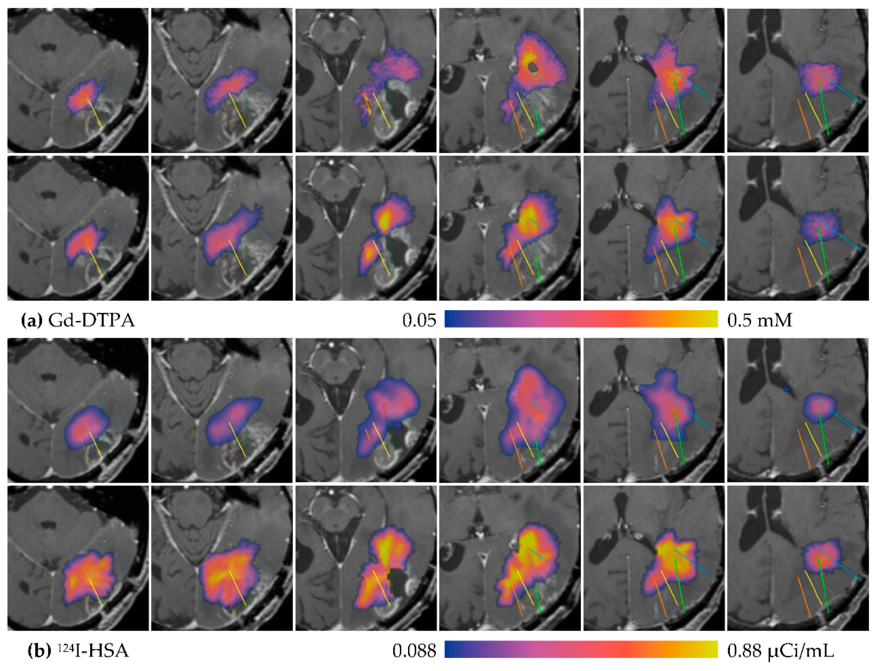 Pharmaceutics 12 00895 g006 Pharmaceutics 12 00895 g006