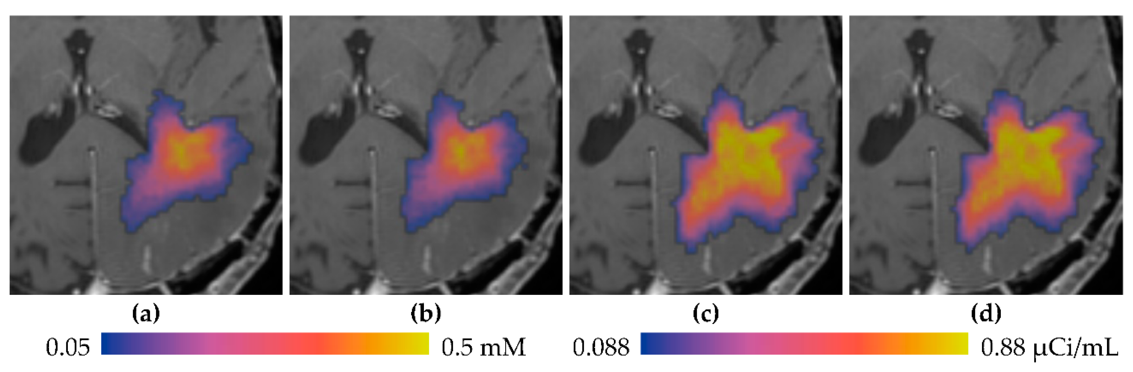 Pharmaceutics 12 00895 g008 Pharmaceutics 12 00895 g008