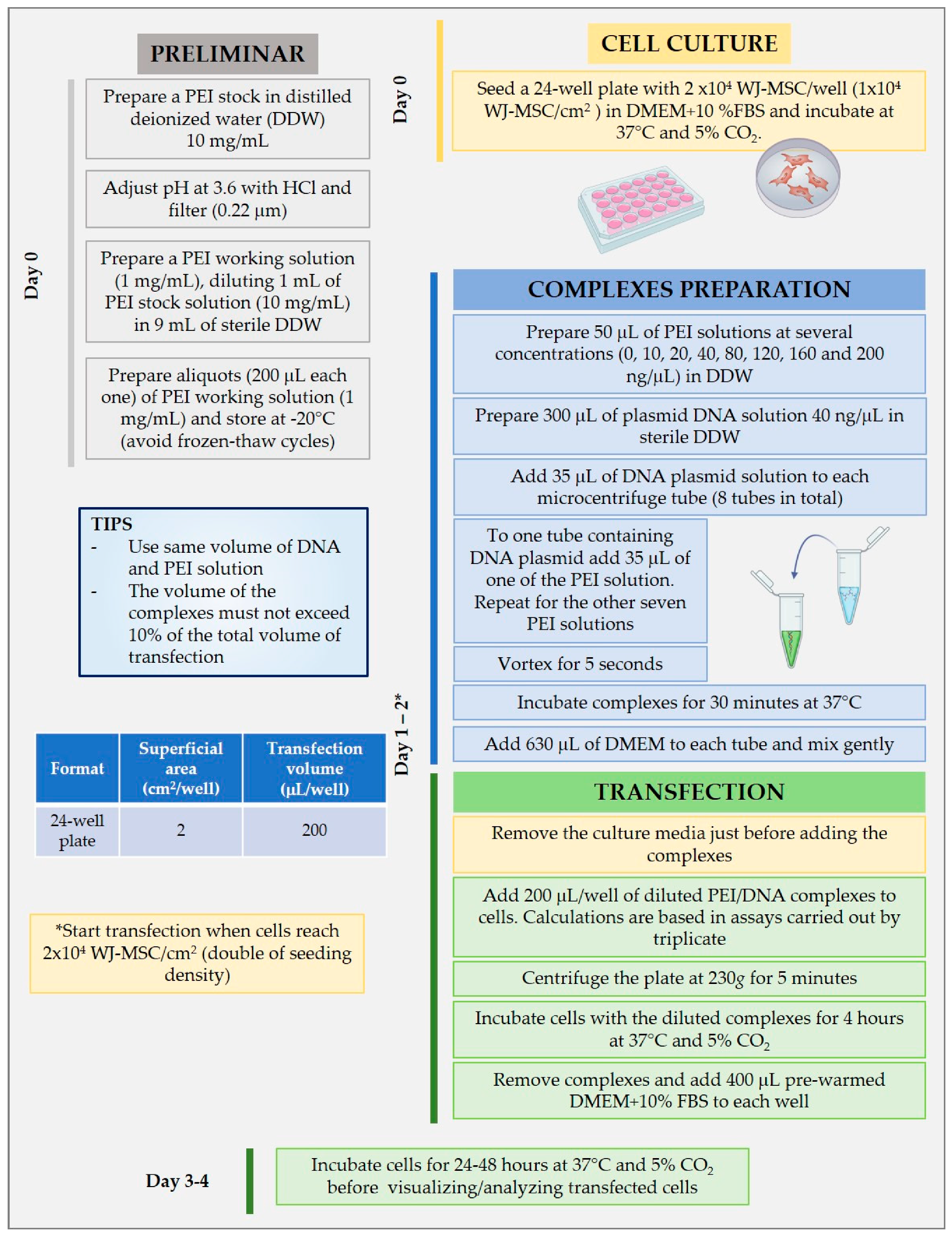 Pharmaceutics 12 00896 g001 Pharmaceutics 12 00896 g001