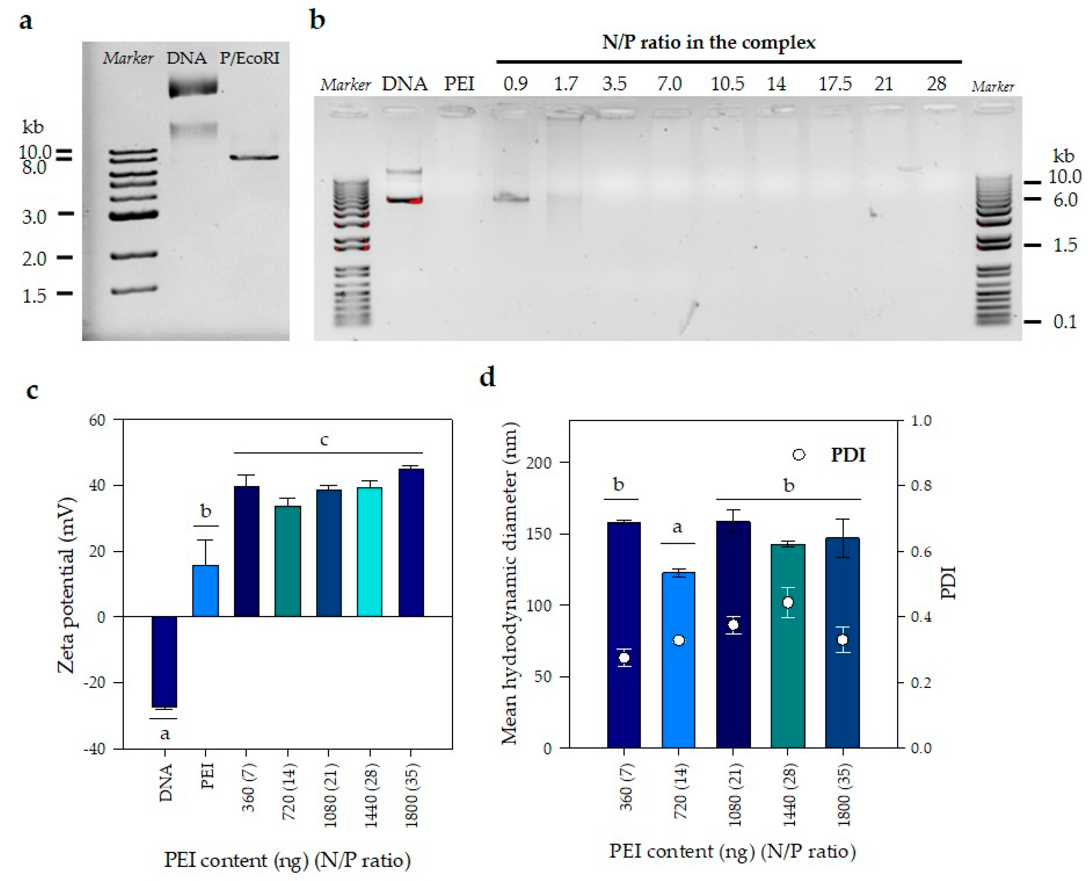 Pharmaceutics 12 00896 g002 Pharmaceutics 12 00896 g002