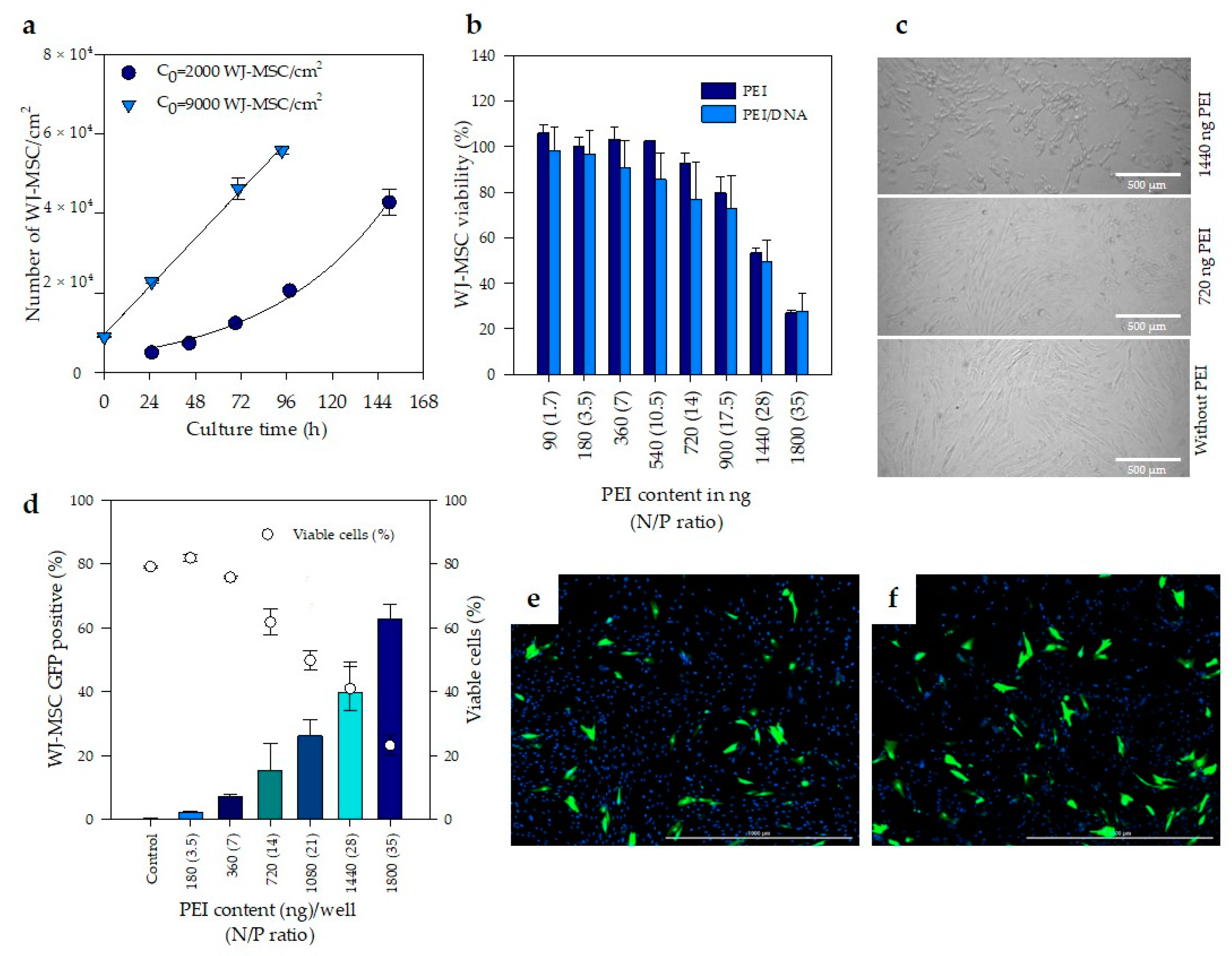 Pharmaceutics 12 00896 g003 Pharmaceutics 12 00896 g003