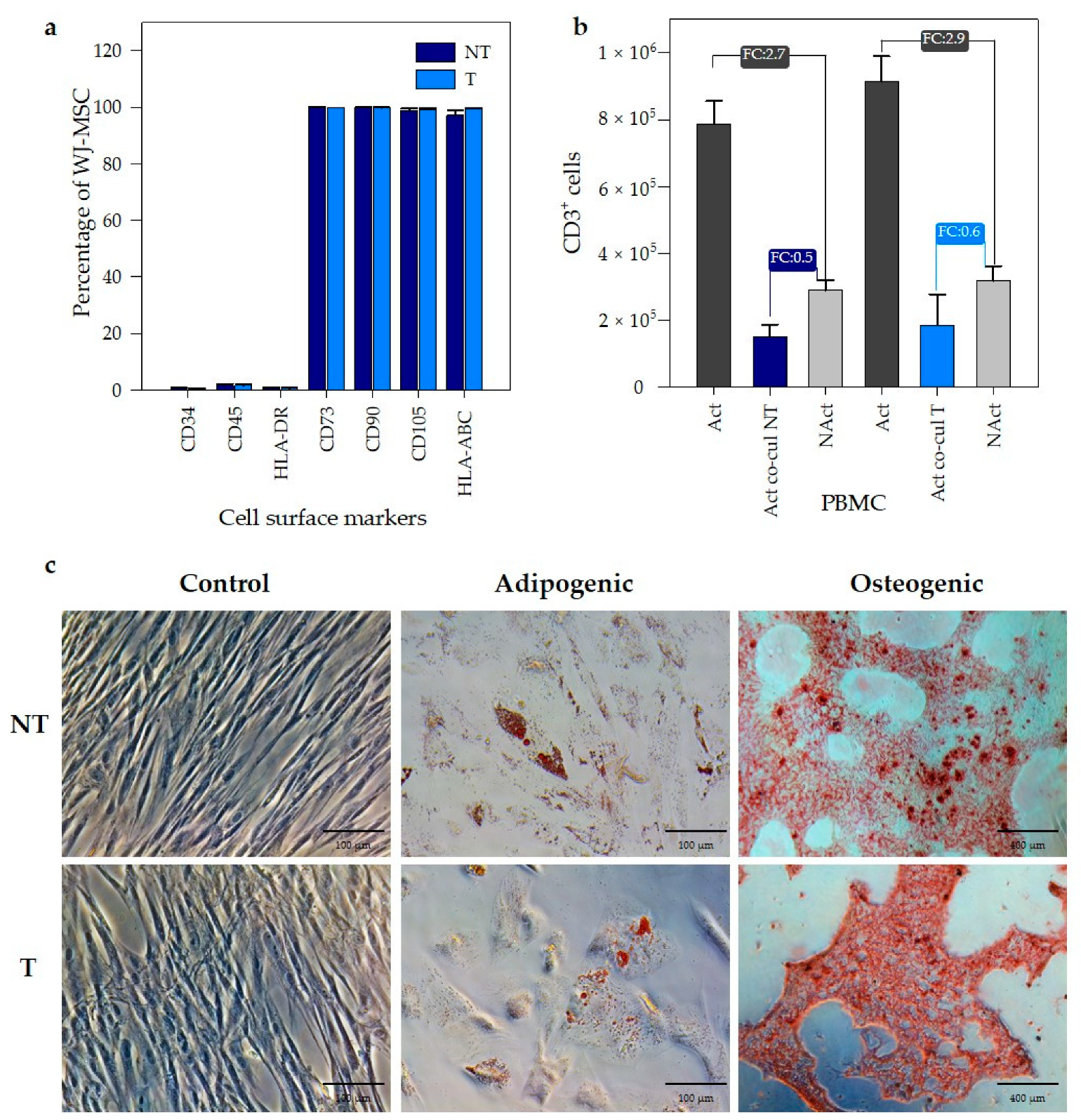 Pharmaceutics 12 00896 g004 Pharmaceutics 12 00896 g004