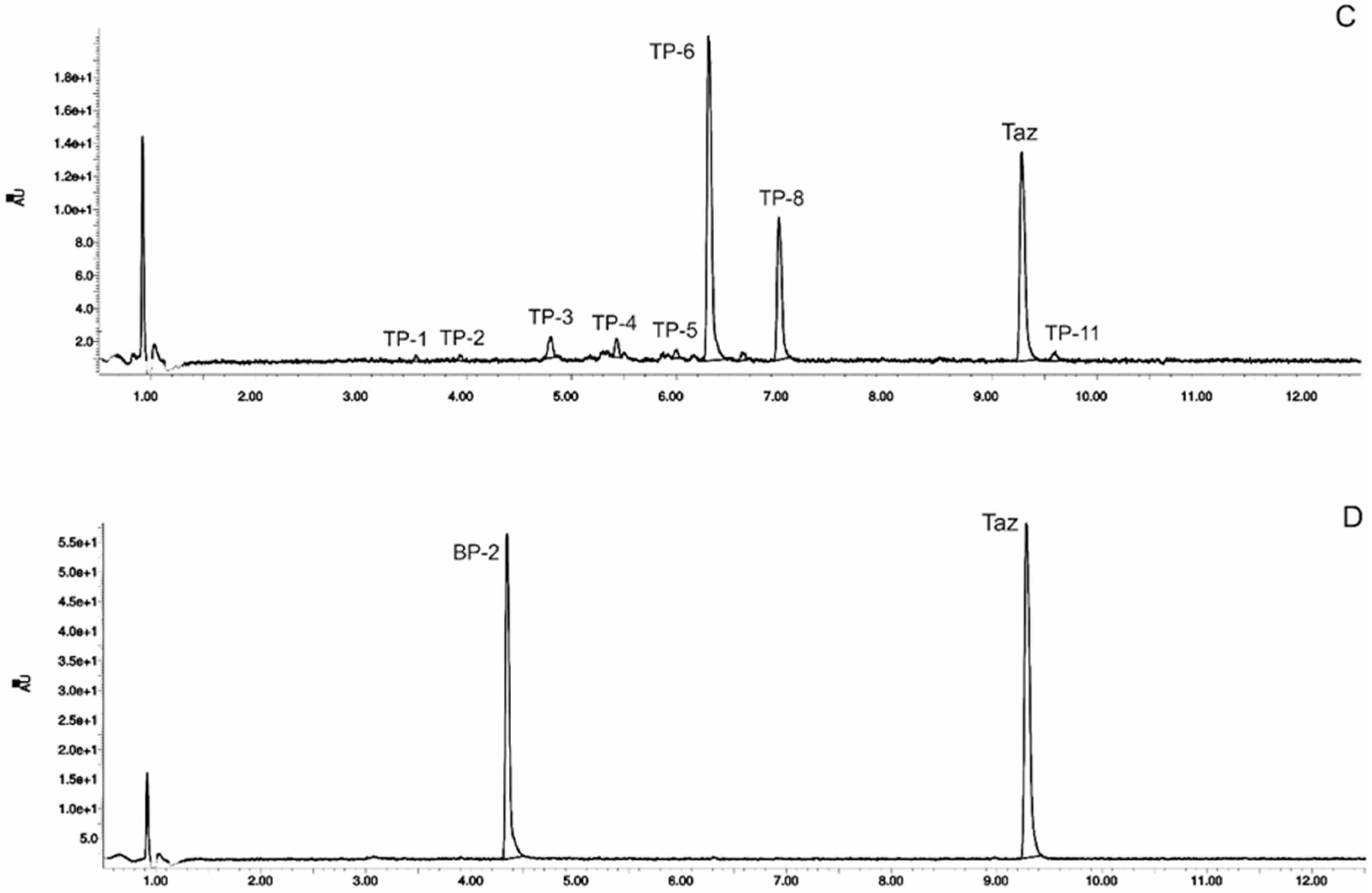 Pharmaceutics 12 00899 g001b