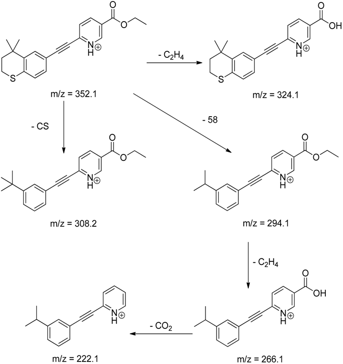 Pharmaceutics 12 00899 i013