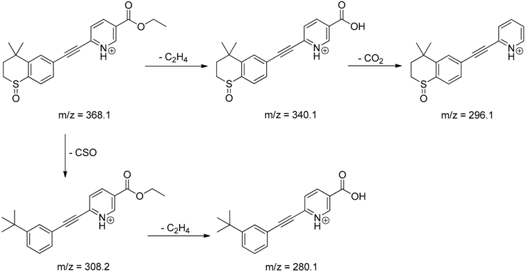 Pharmaceutics 12 00899 i019