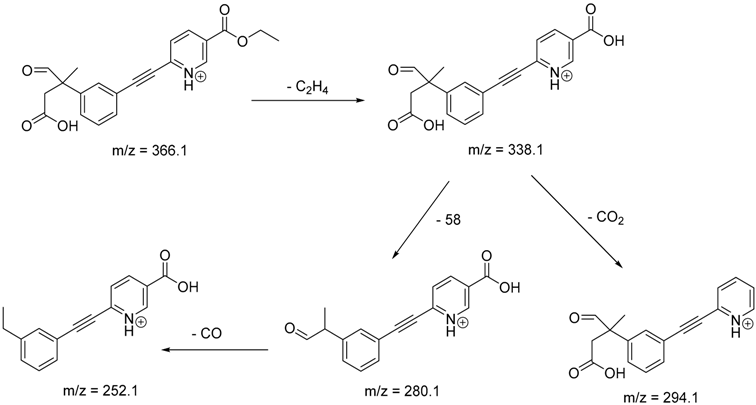 Pharmaceutics 12 00899 i023