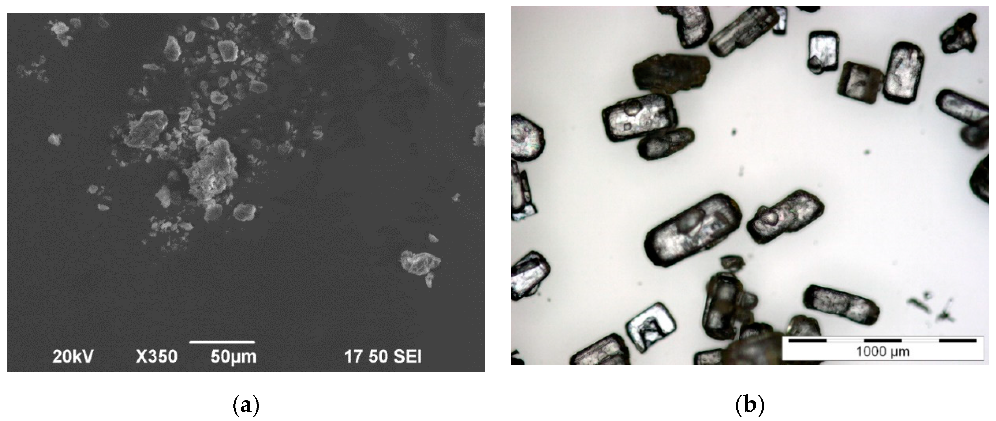 Pharmaceutics 12 00904 g002
