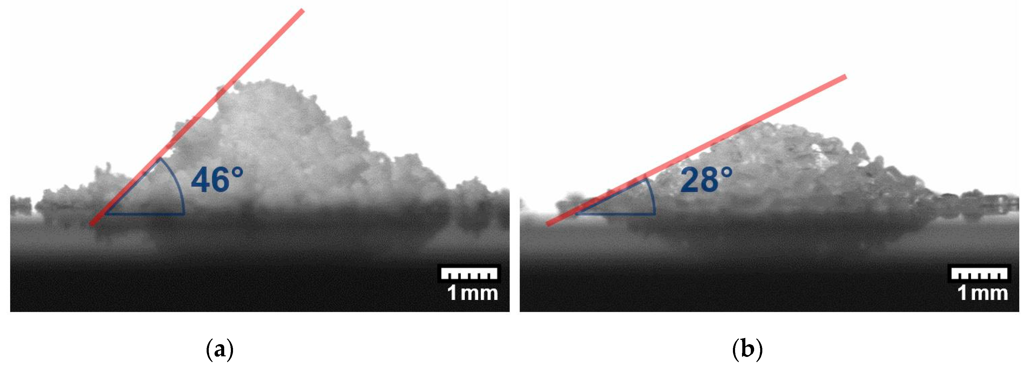 Pharmaceutics 12 00904 g003