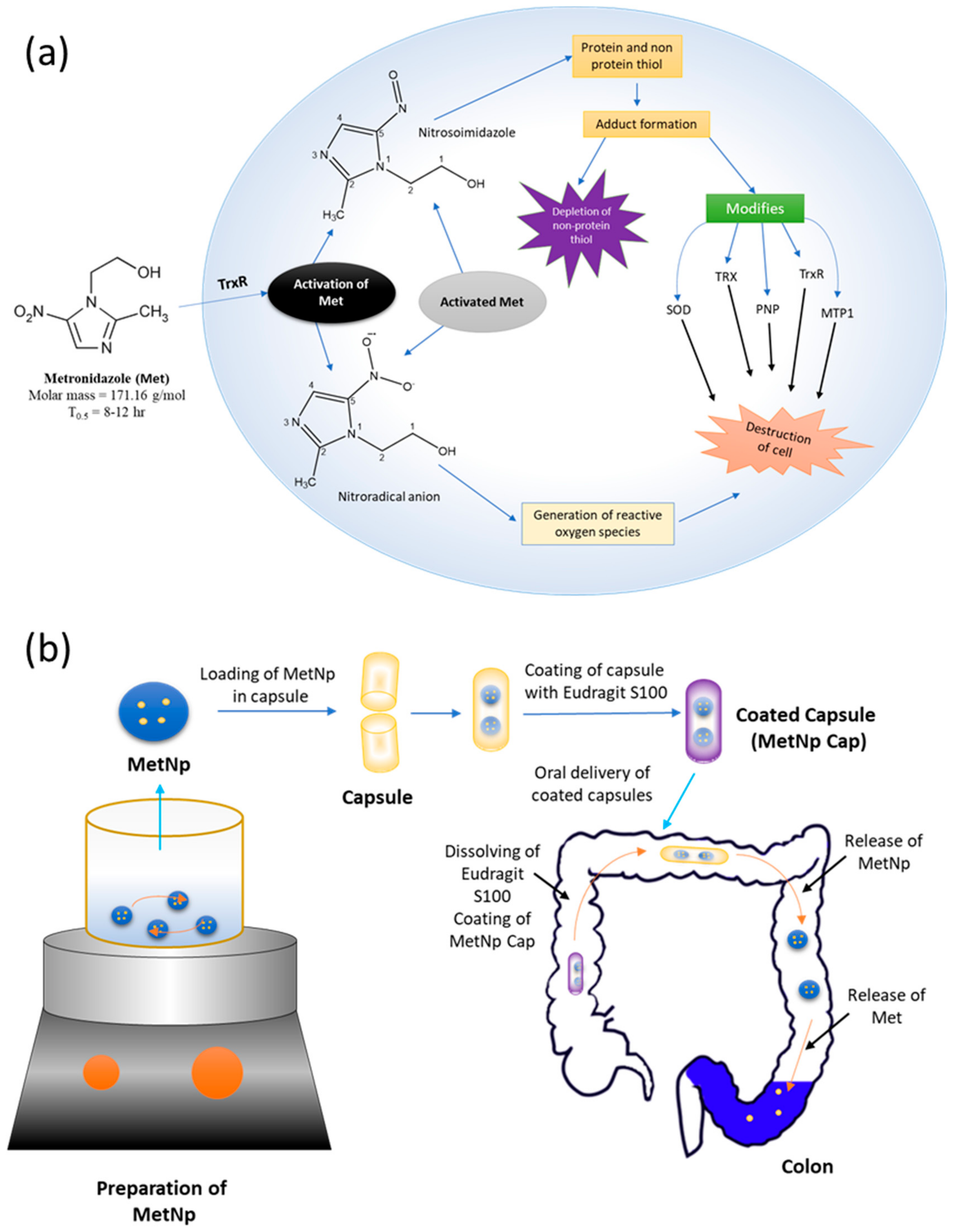 Pharmaceutics 12 00920 g001