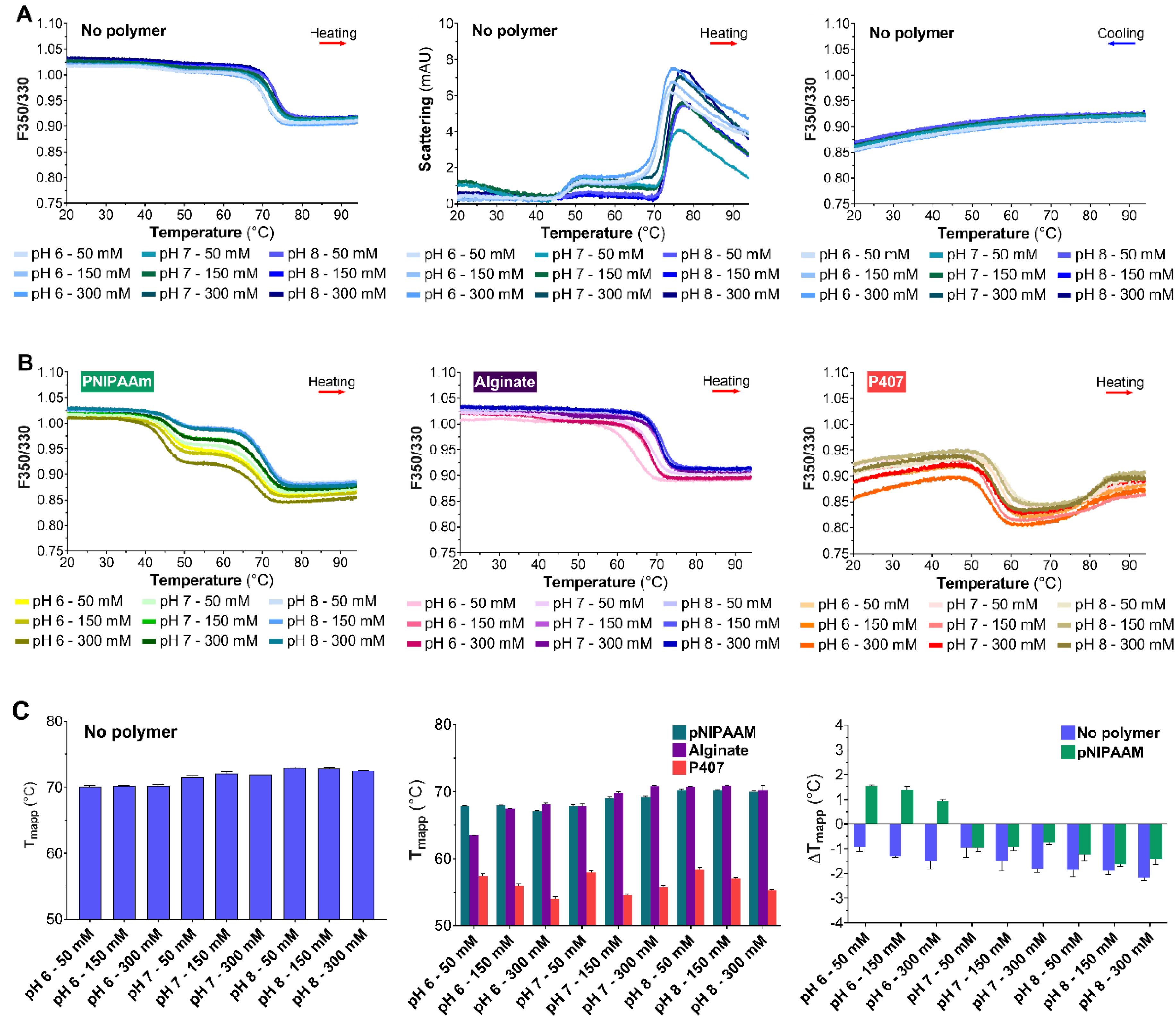 Pharmaceutics 12 00921 g002