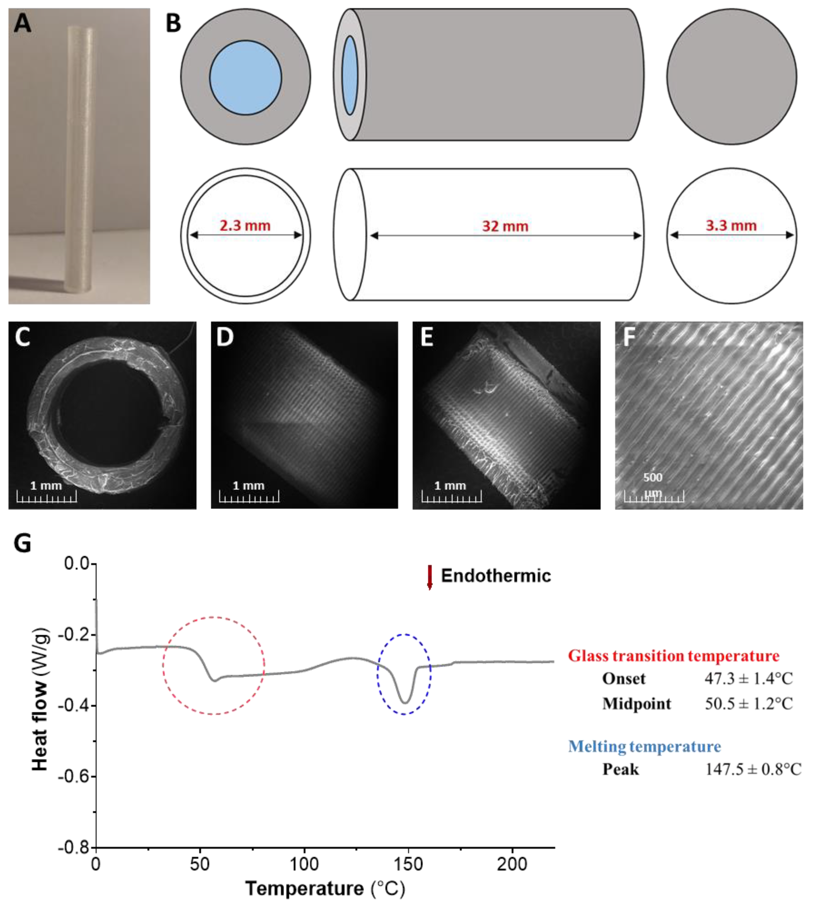 Pharmaceutics 12 00921 g004
