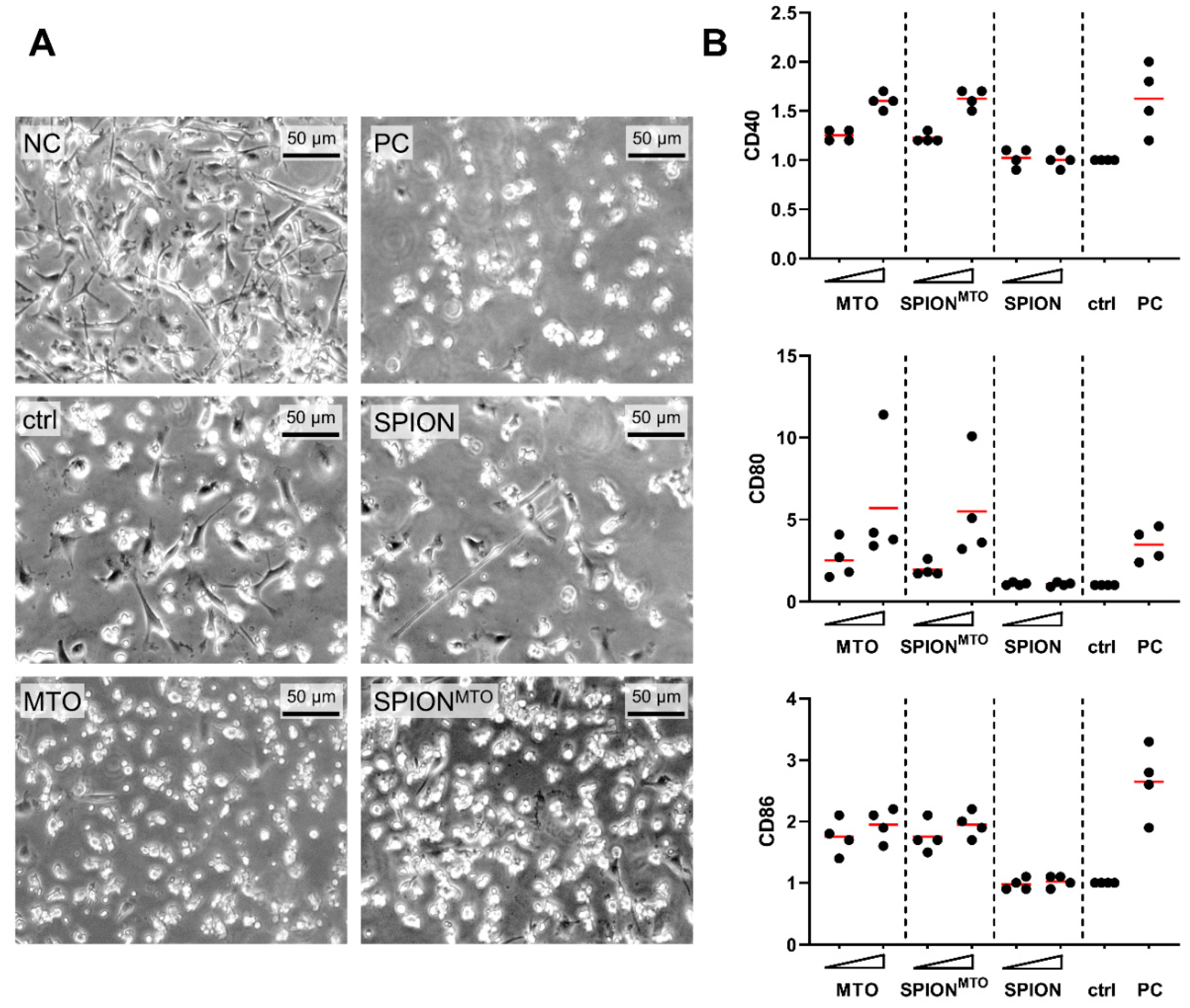 Pharmaceutics 12 00923 g005 Pharmaceutics 12 00923 g005