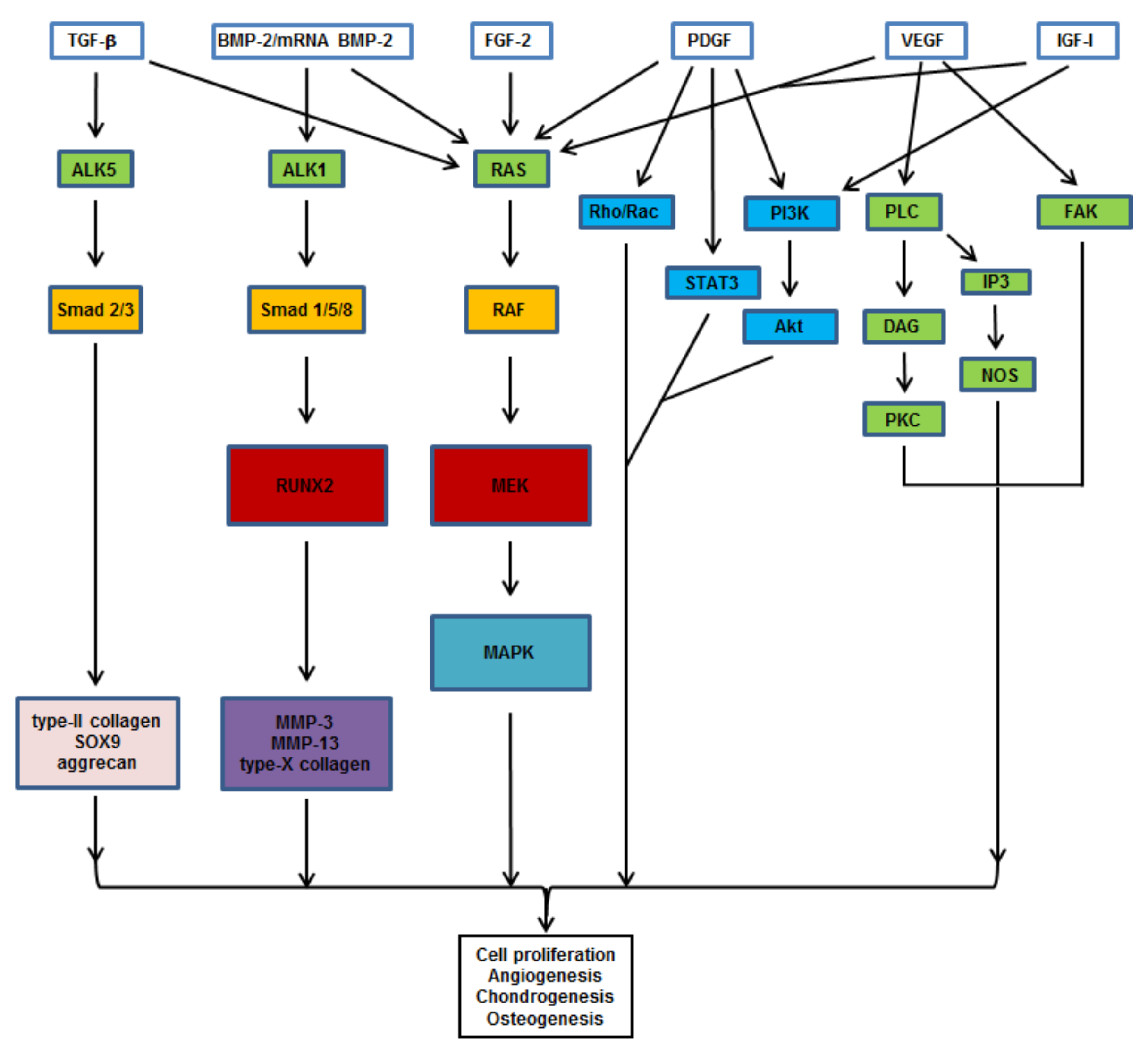Pharmaceutics 12 00930 g002 Pharmaceutics 12 00930 g002