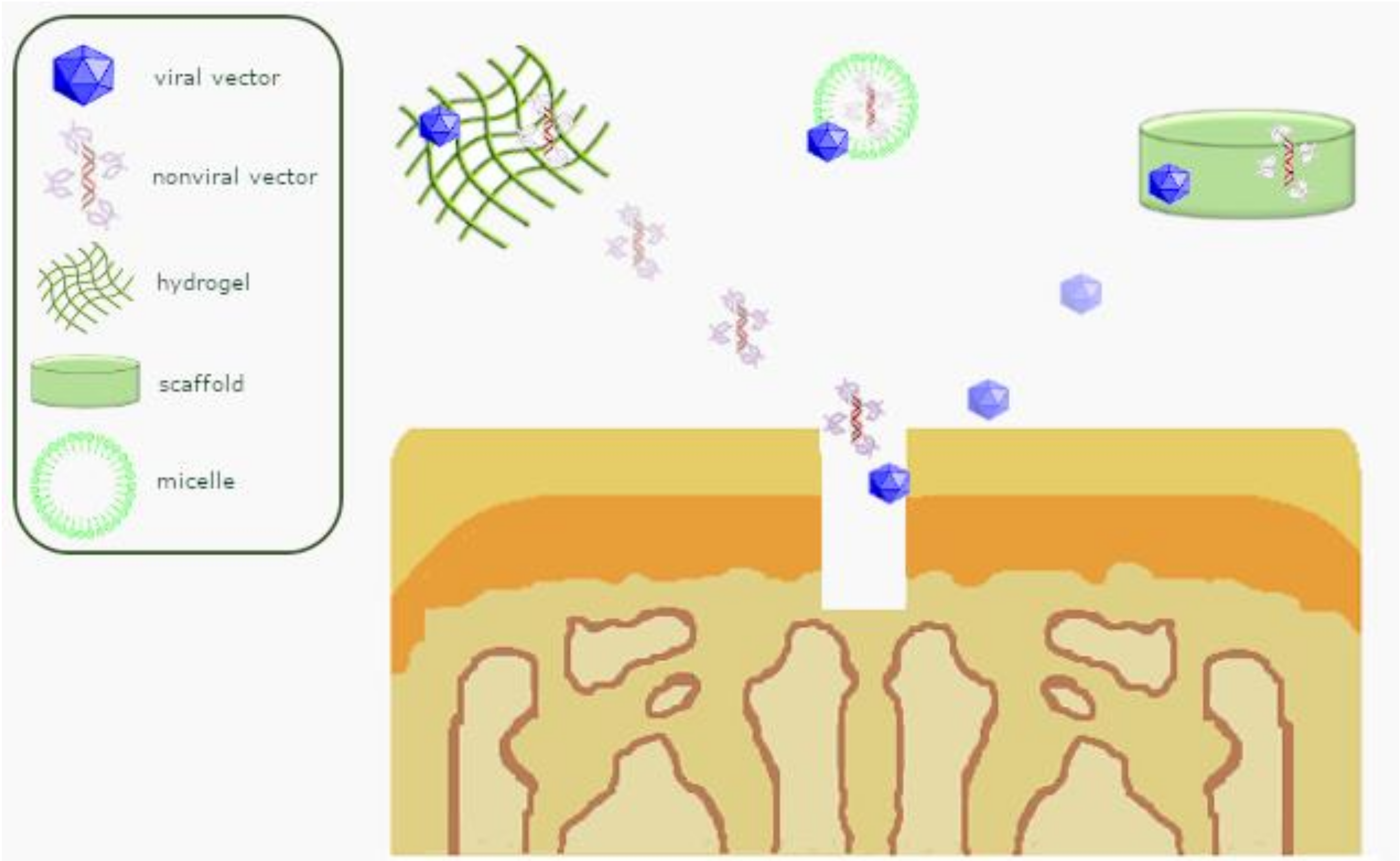 Pharmaceutics 12 00930 g003 Pharmaceutics 12 00930 g003