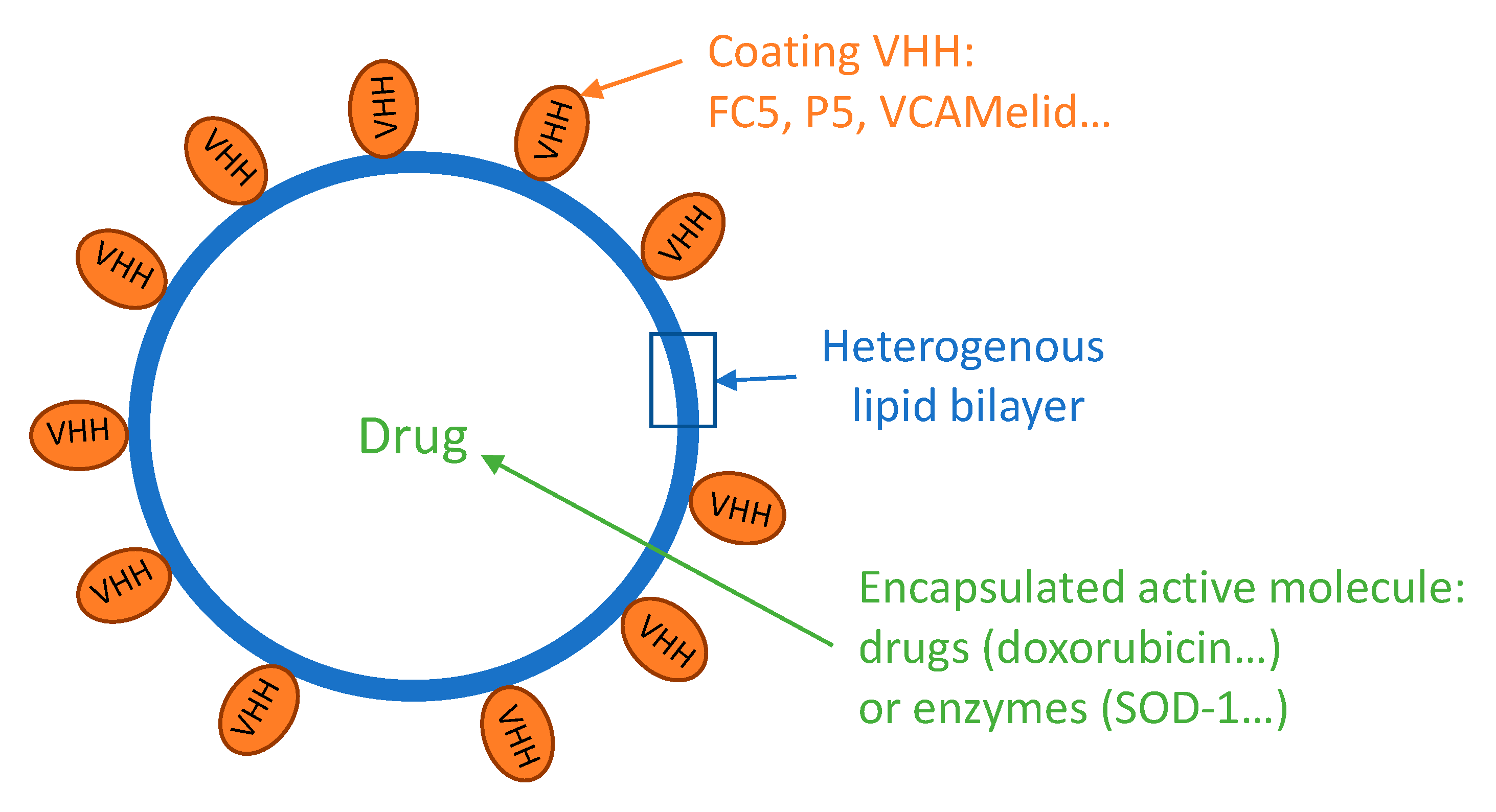 Pharmaceutics 12 00937 g002