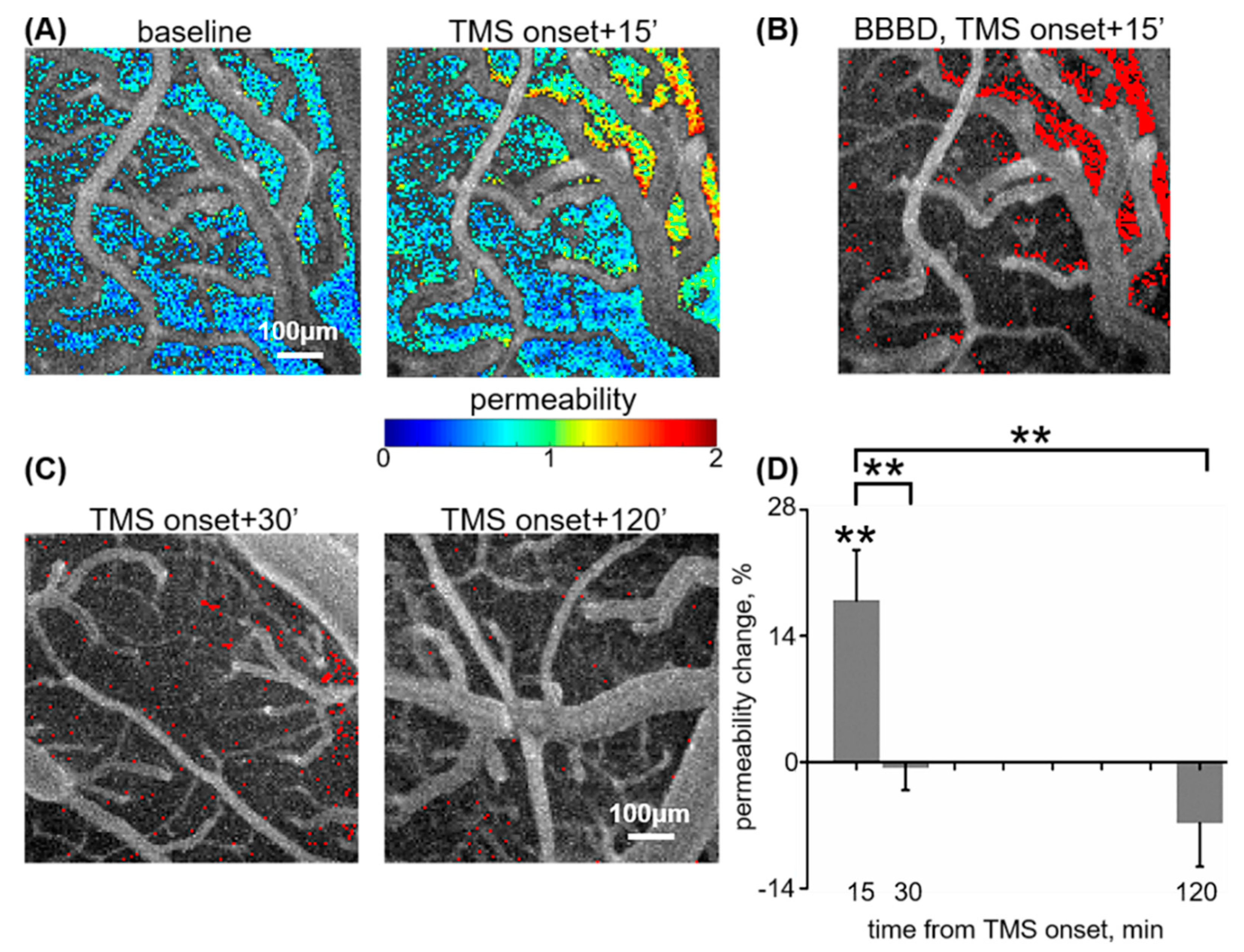 Pharmaceutics 12 00946 g001 Pharmaceutics 12 00946 g001