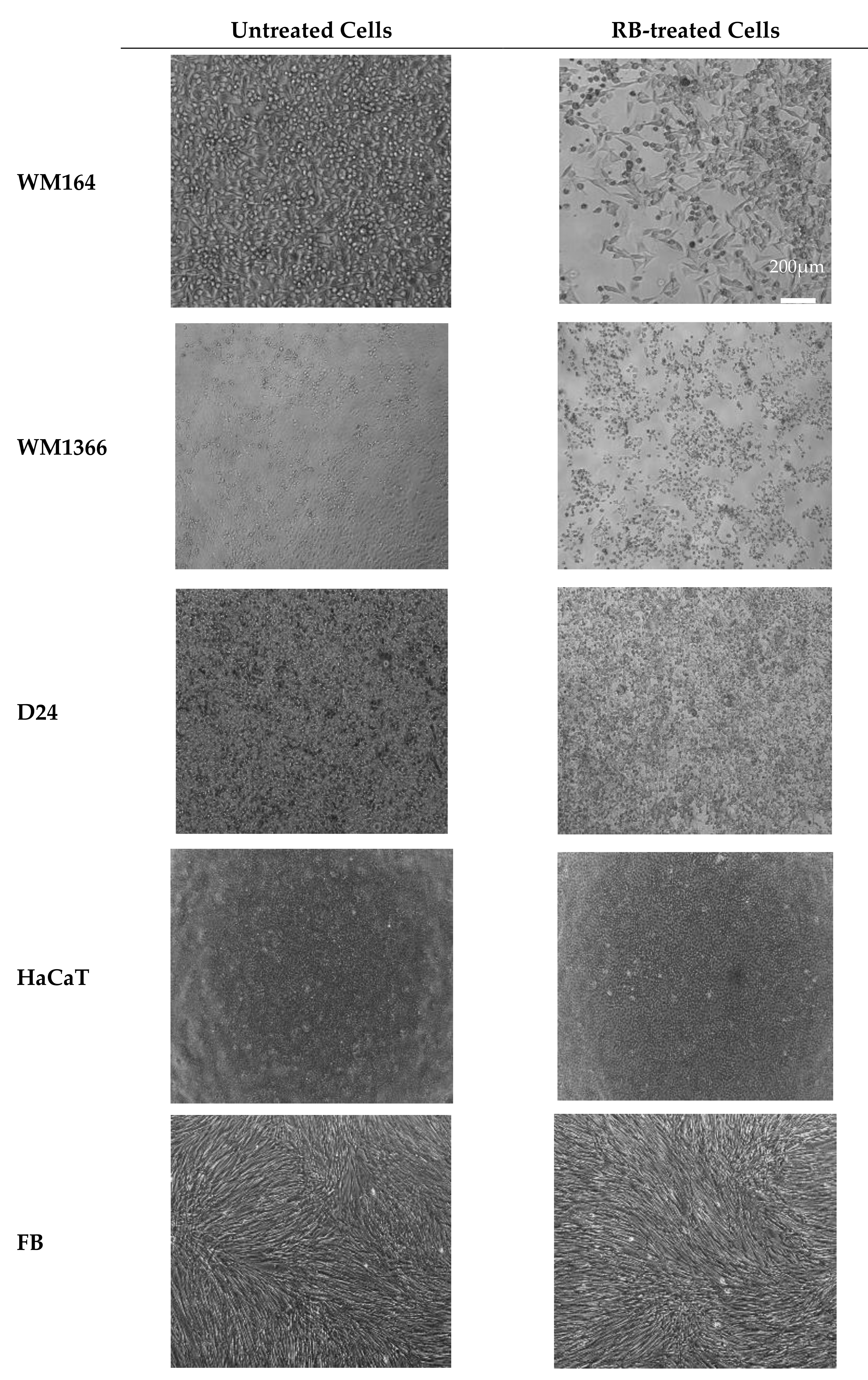 Pharmaceutics 12 00947 g003 Pharmaceutics 12 00947 g003