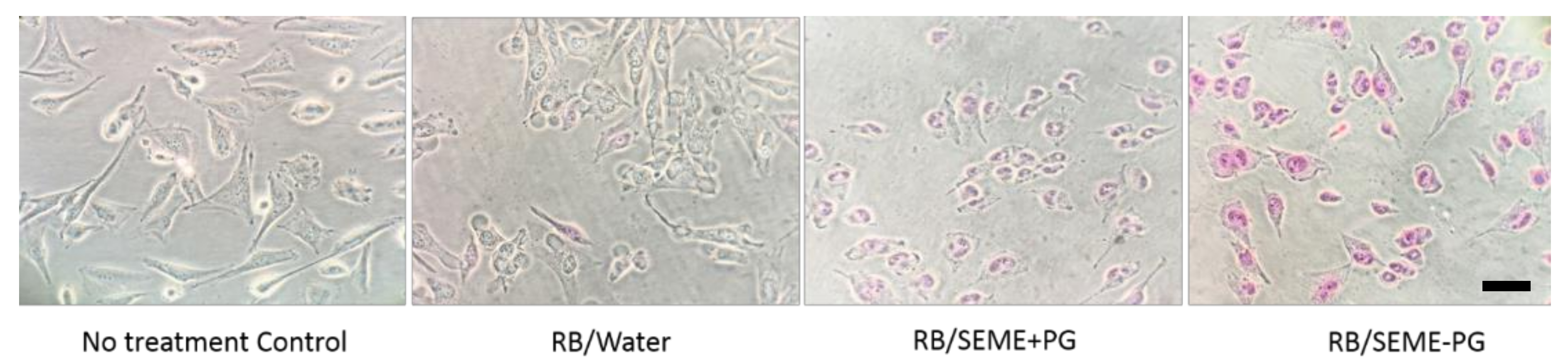 Pharmaceutics 12 00947 g005 Pharmaceutics 12 00947 g005