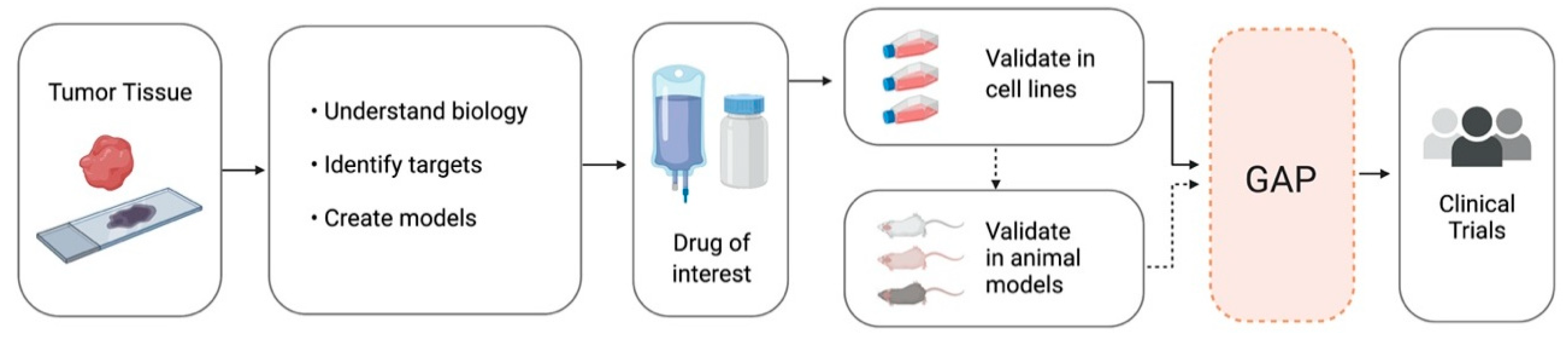 Pharmaceutics 12 00948 g002