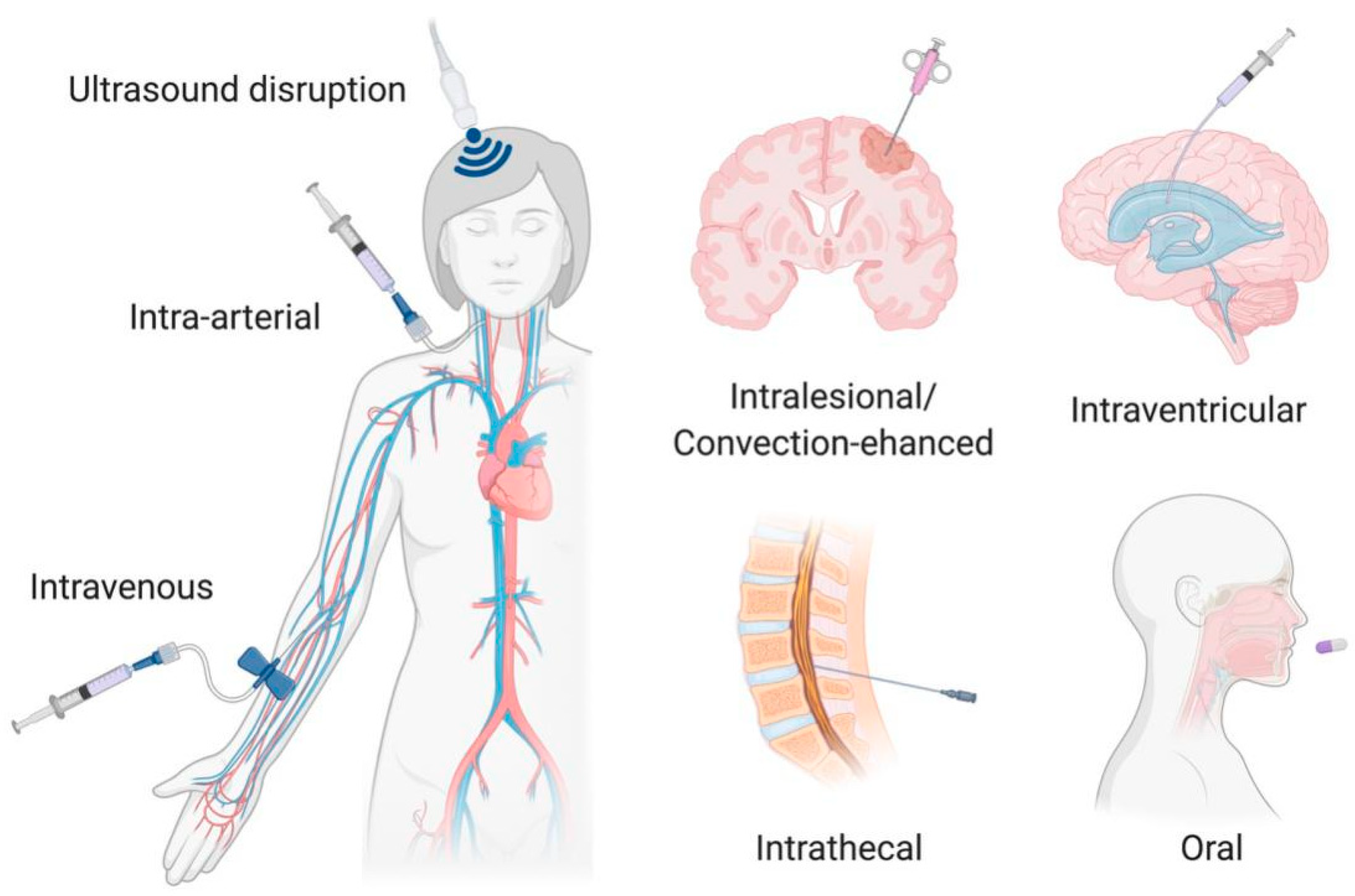 Pharmaceutics Free FullText Principles and Their