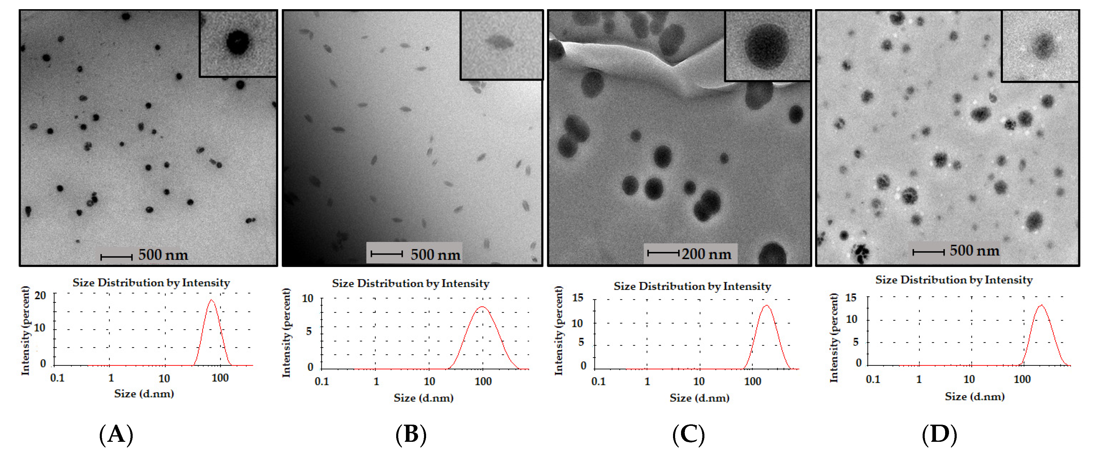 Pharmaceutics 12 00953 g002 Pharmaceutics 12 00953 g002