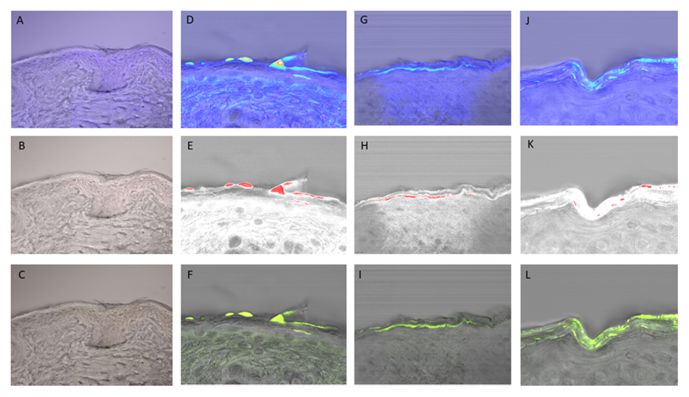 Pharmaceutics 12 00953 g005 Pharmaceutics 12 00953 g005