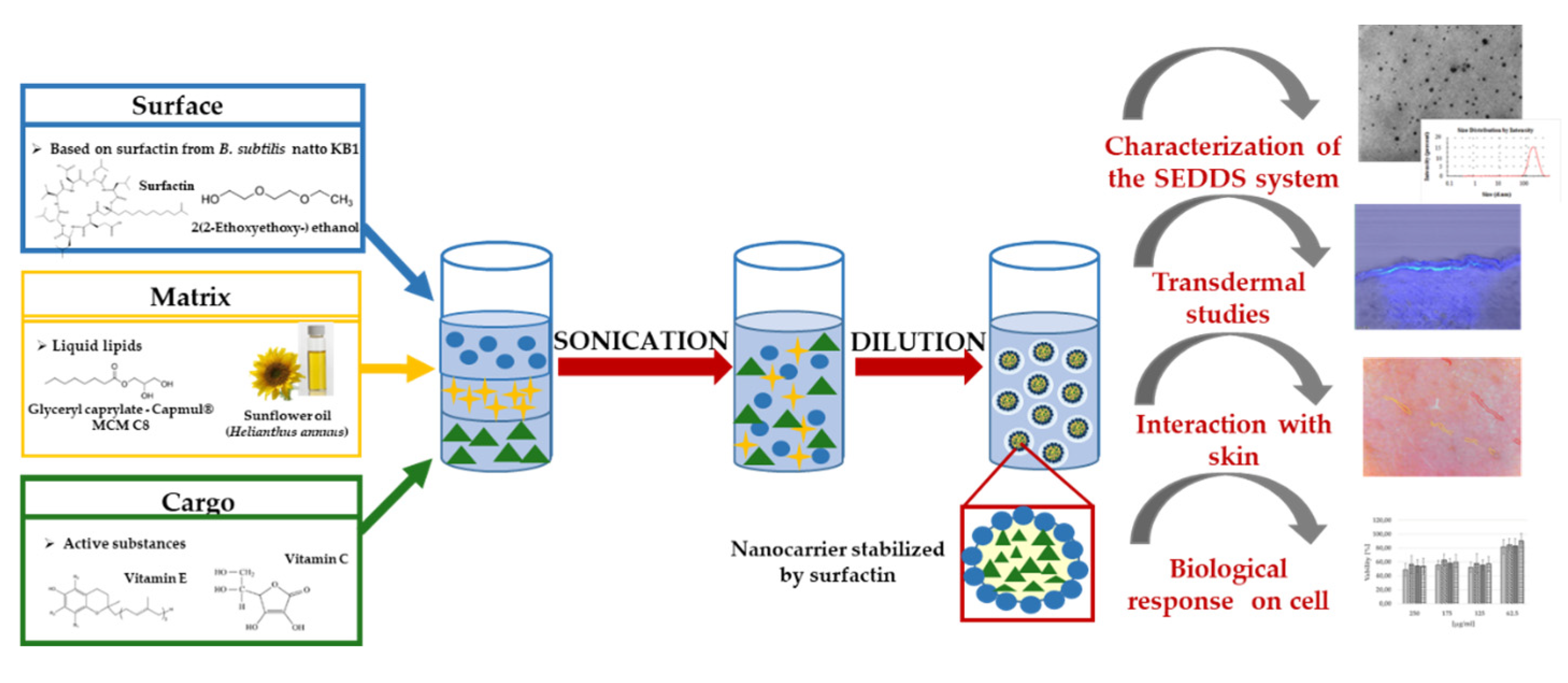 Pharmaceutics 12 00953 sch001 Pharmaceutics 12 00953 sch001