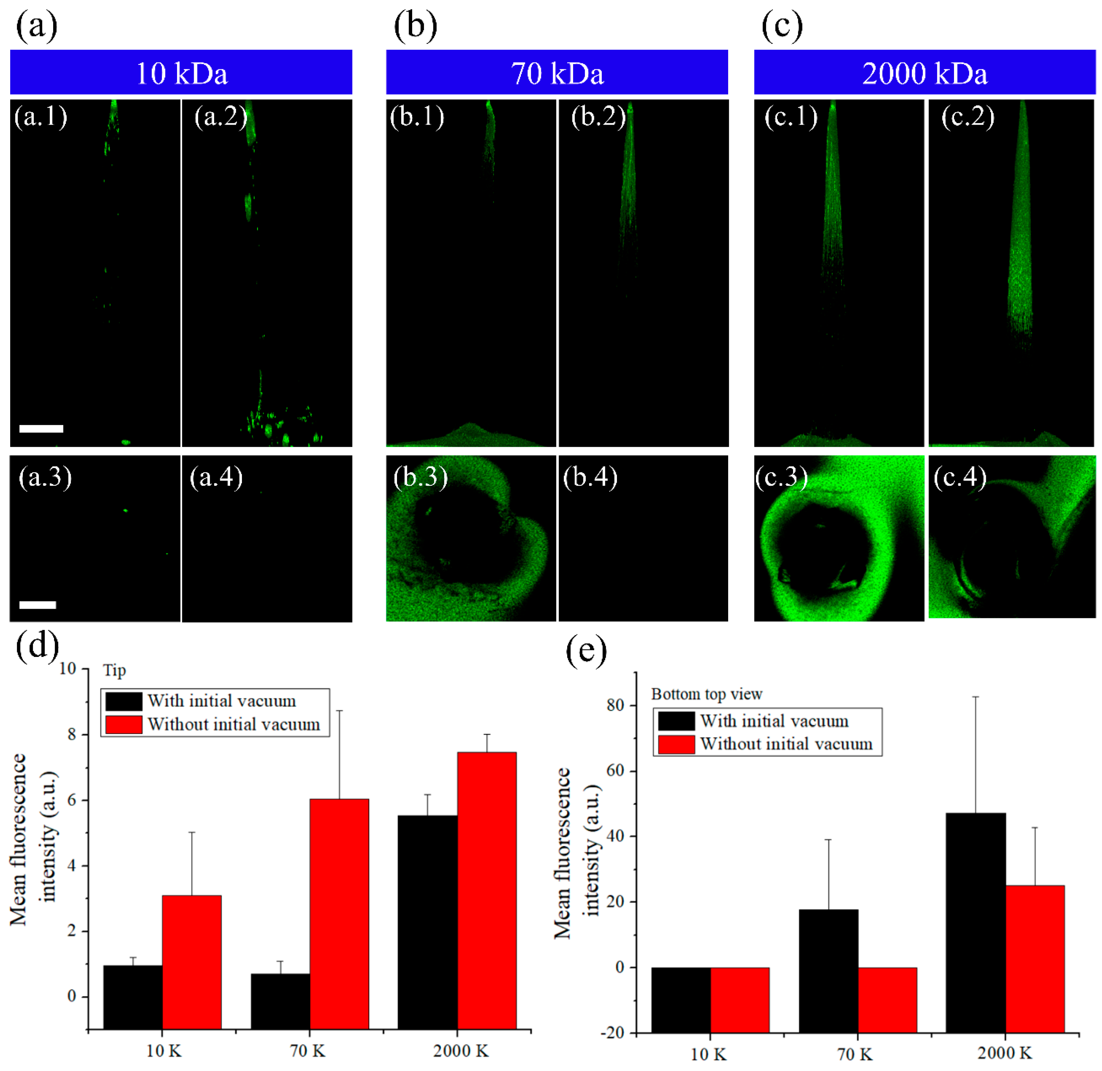 Pharmaceutics 12 00954 g003
