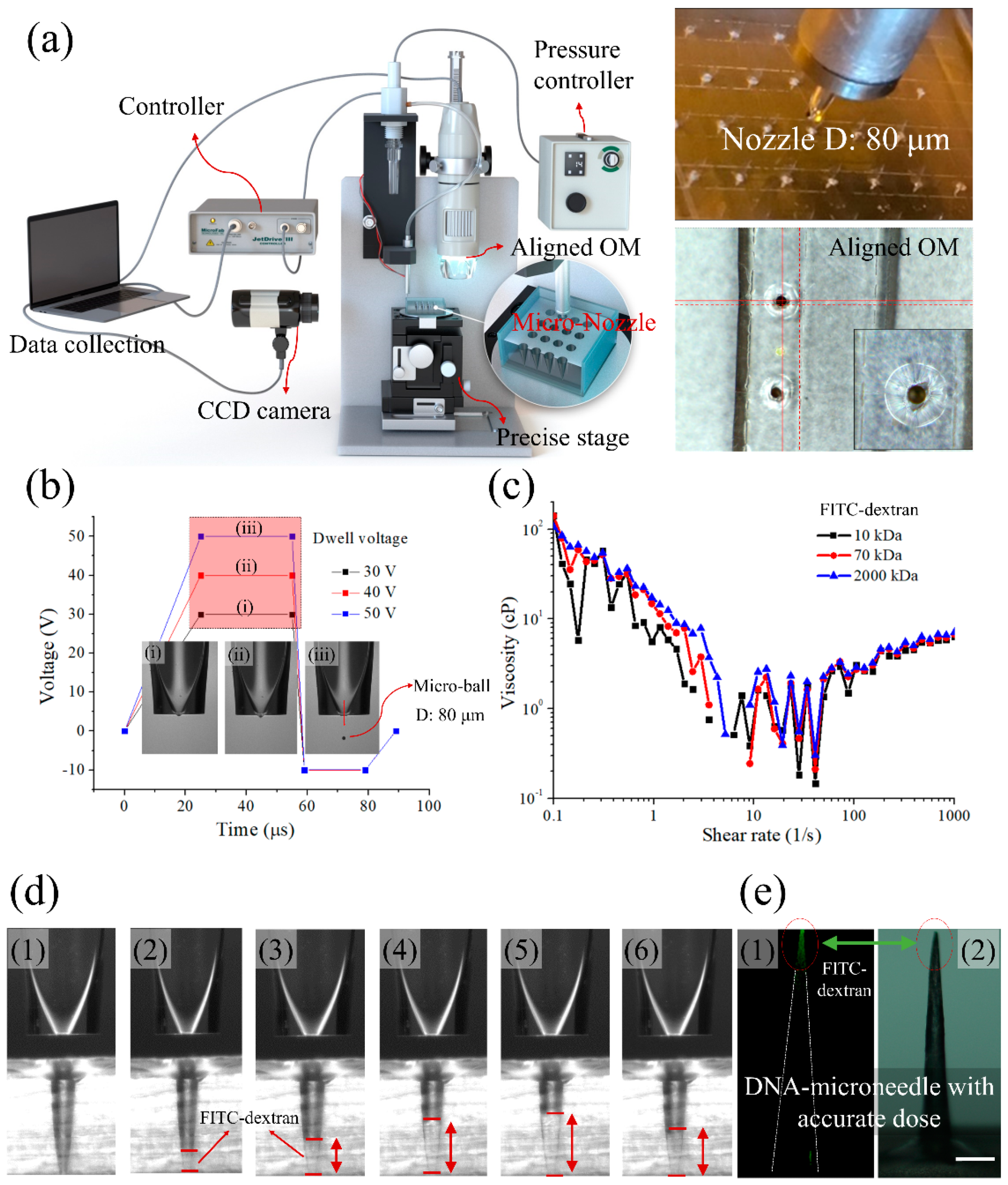 Pharmaceutics 12 00954 g005