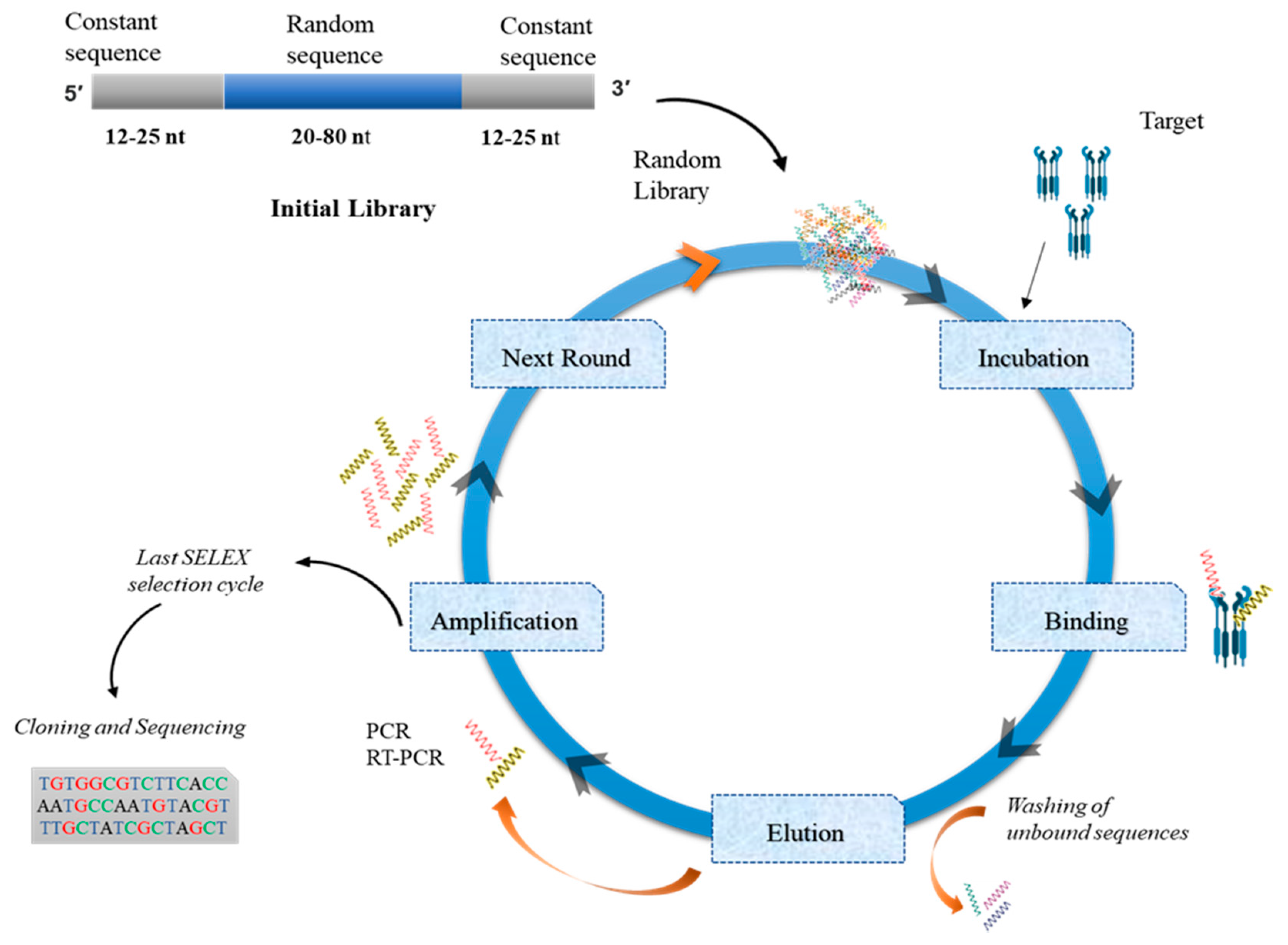 Pharmaceutics 12 00955 g002