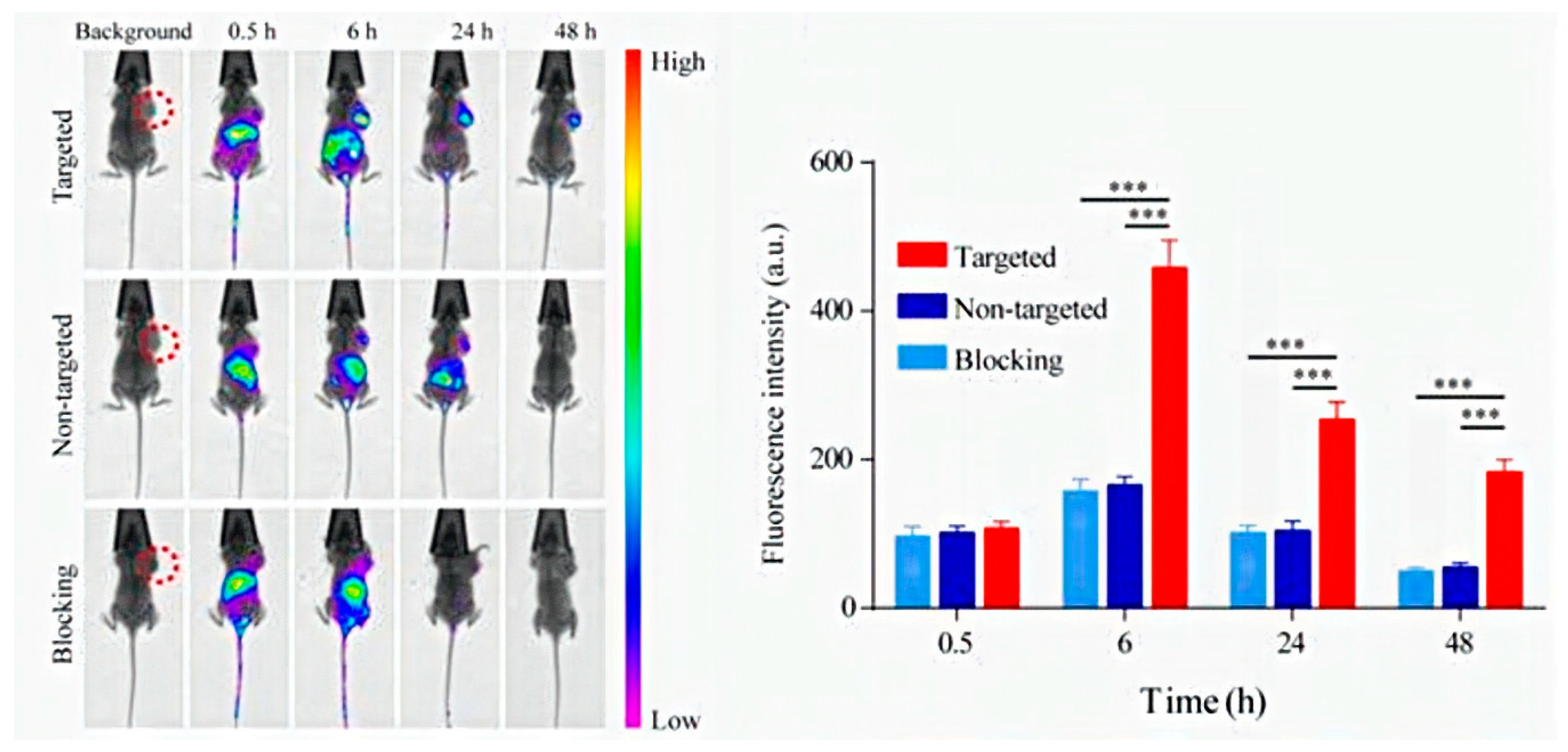 Pharmaceutics 12 00957 g001