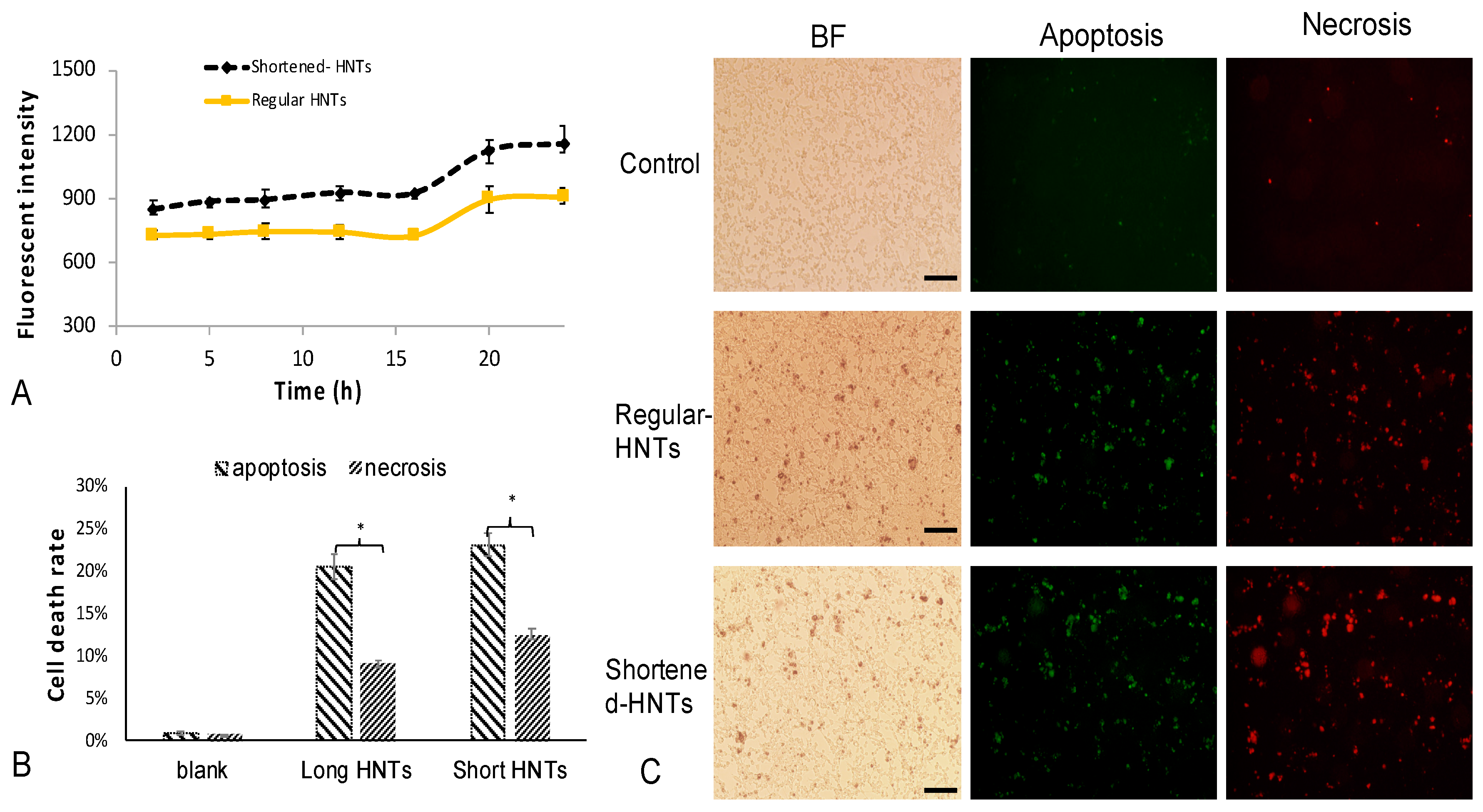 Pharmaceutics 12 00962 g005 Pharmaceutics 12 00962 g005