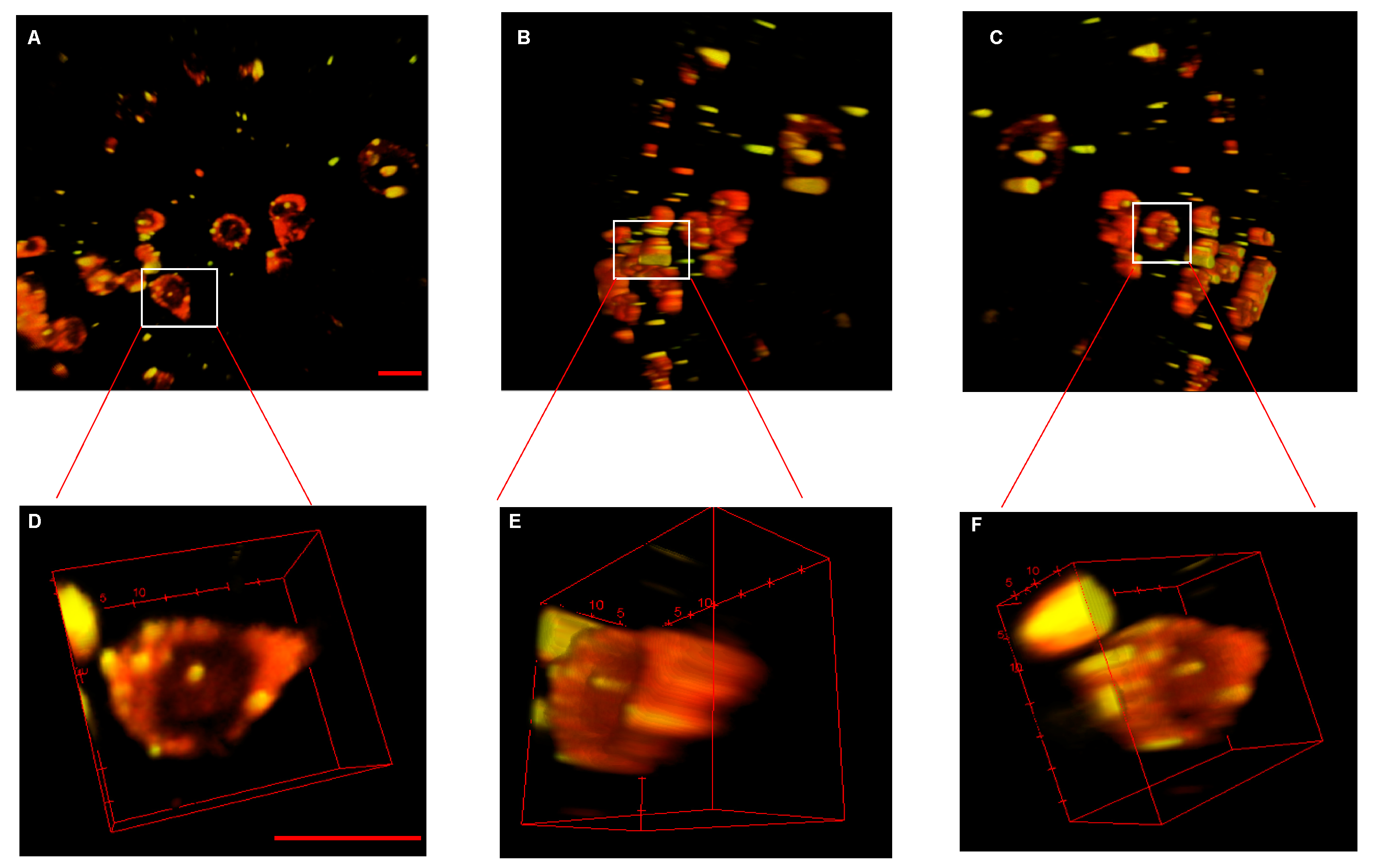 Pharmaceutics 12 00962 g006 Pharmaceutics 12 00962 g006