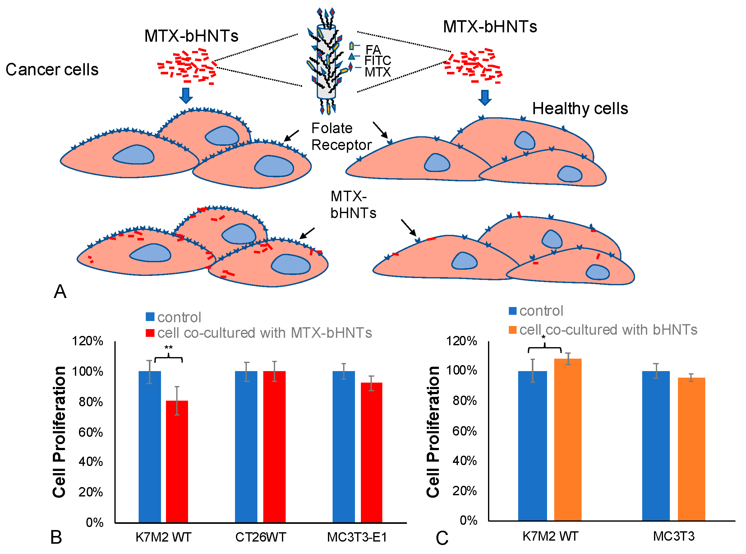 Pharmaceutics 12 00962 g008 Pharmaceutics 12 00962 g008