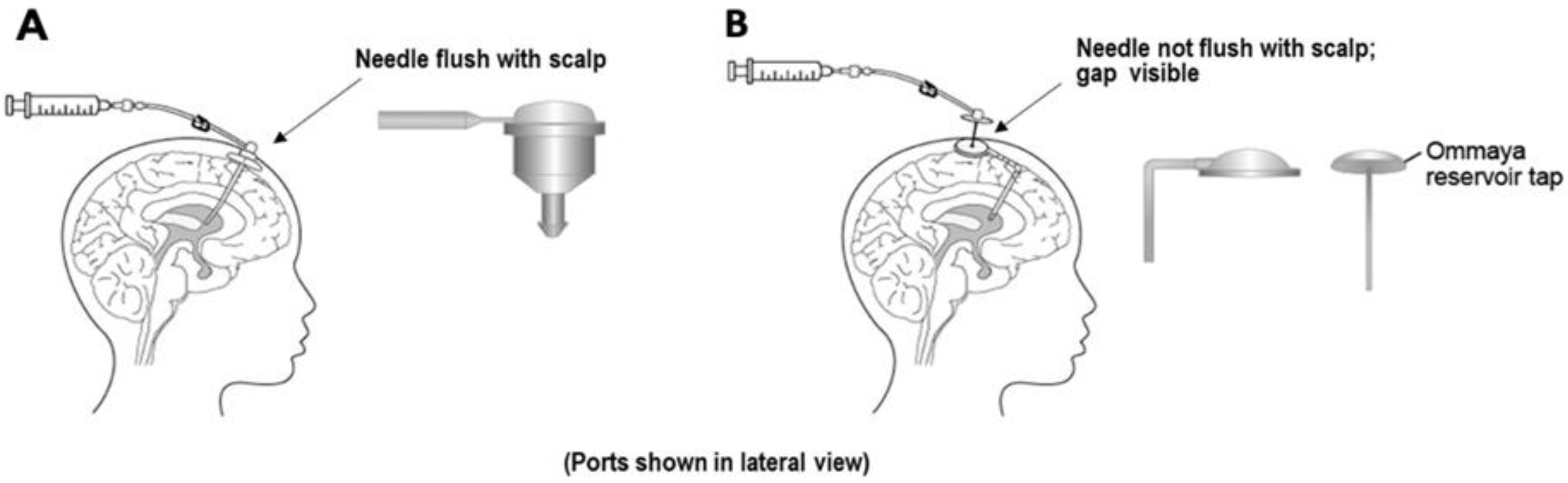 Pharmaceutics 12 00963 g004