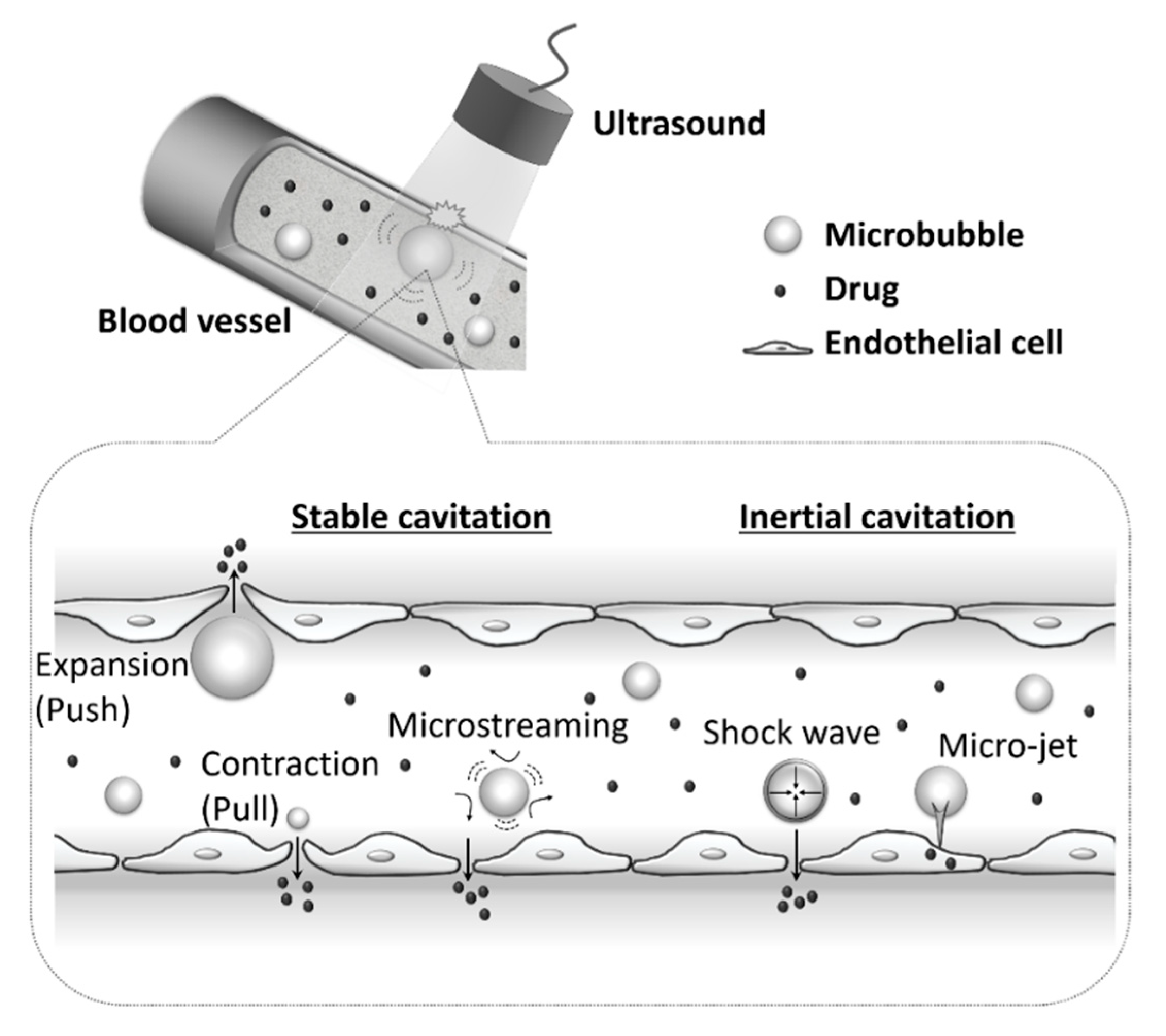Pharmaceutics 12 00964 g002 Pharmaceutics 12 00964 g002
