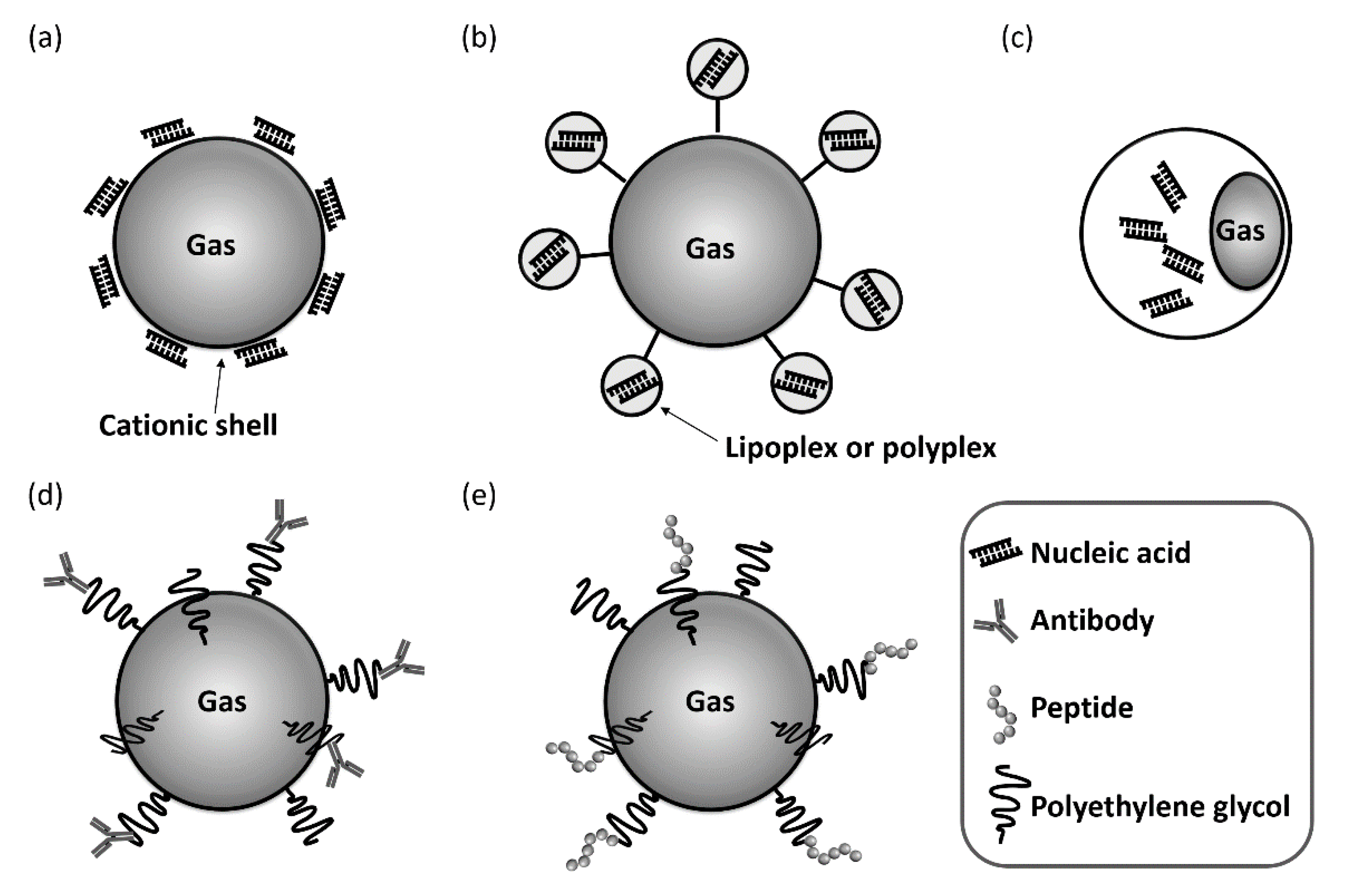Pharmaceutics 12 00964 g003 Pharmaceutics 12 00964 g003