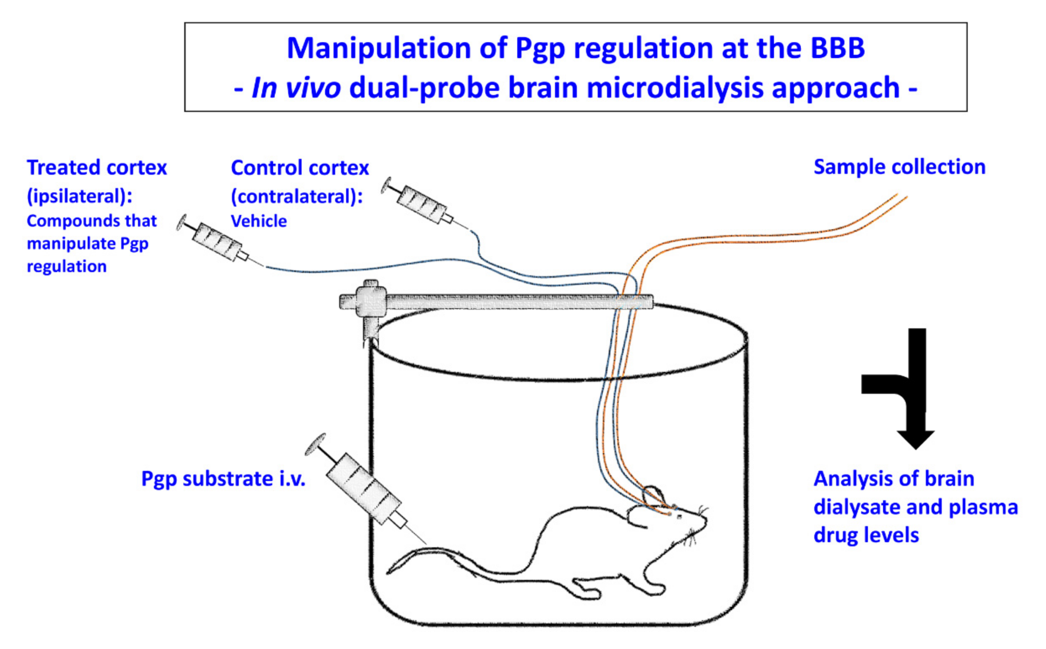Pharmaceutics 12 00966 g008 Pharmaceutics 12 00966 g008