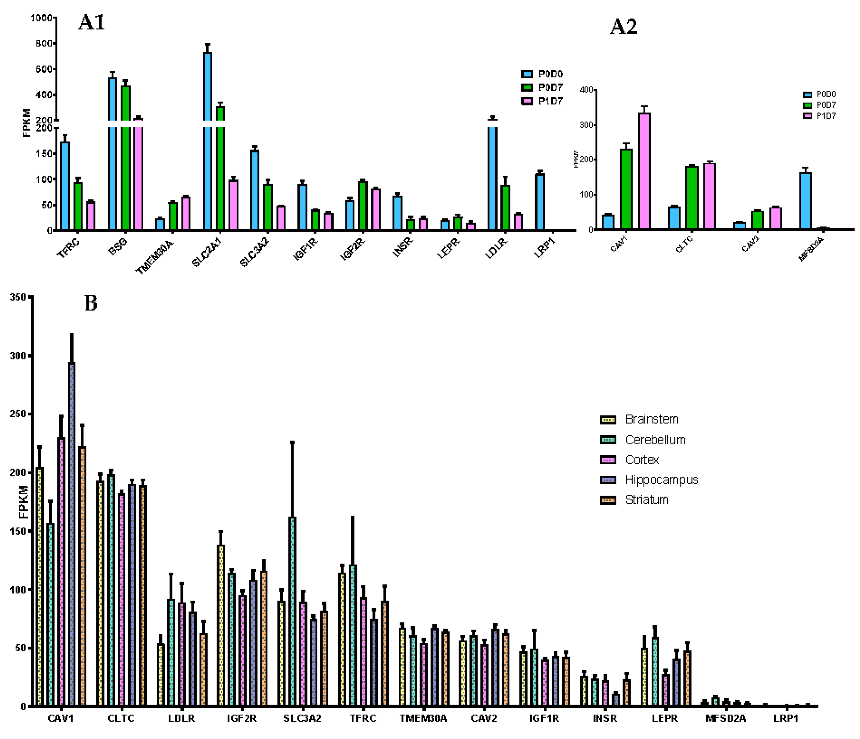 Pharmaceutics 12 00967 g003 Pharmaceutics 12 00967 g003