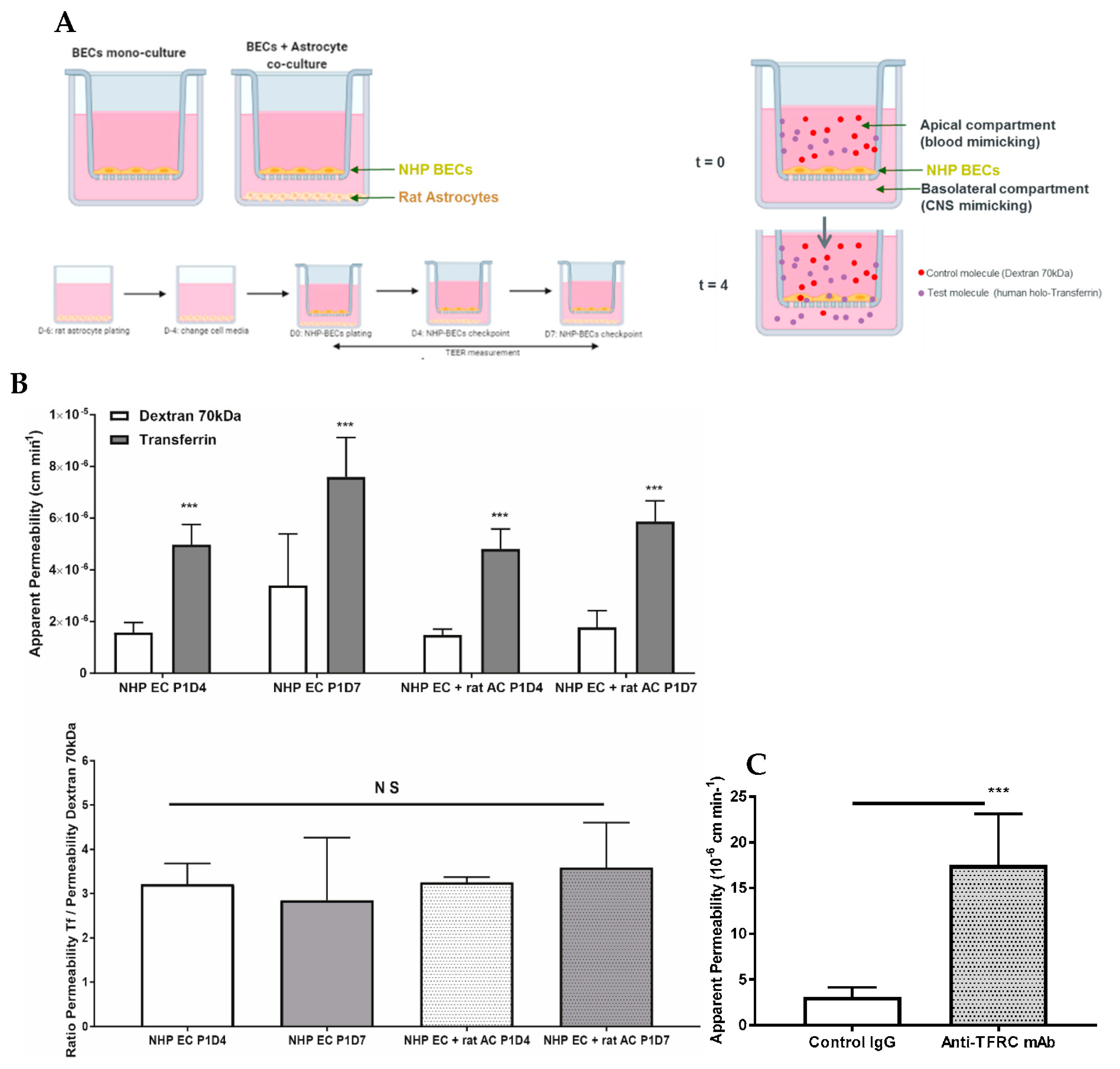 Pharmaceutics 12 00967 g007 Pharmaceutics 12 00967 g007