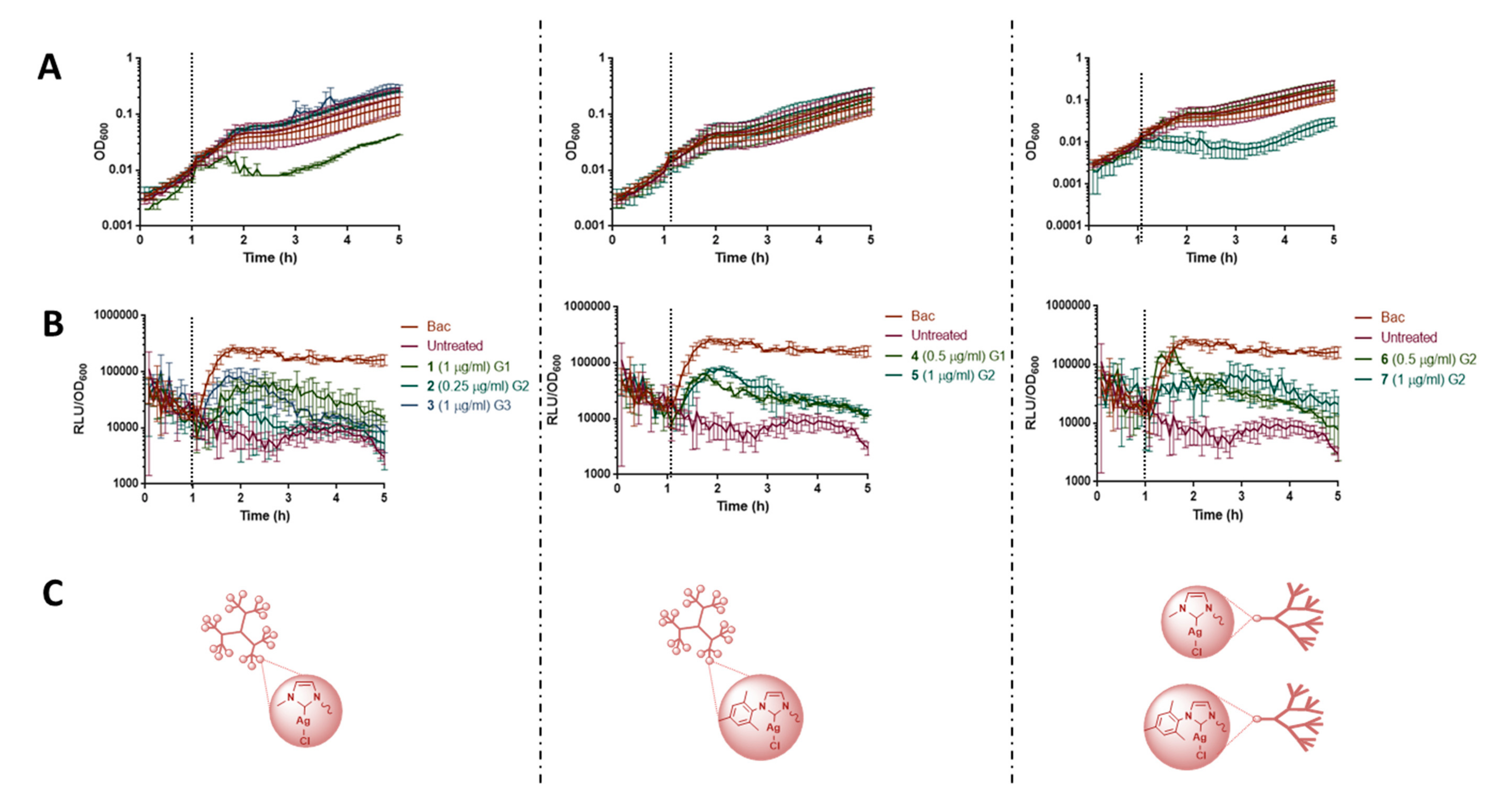 Pharmaceutics 12 00968 g002