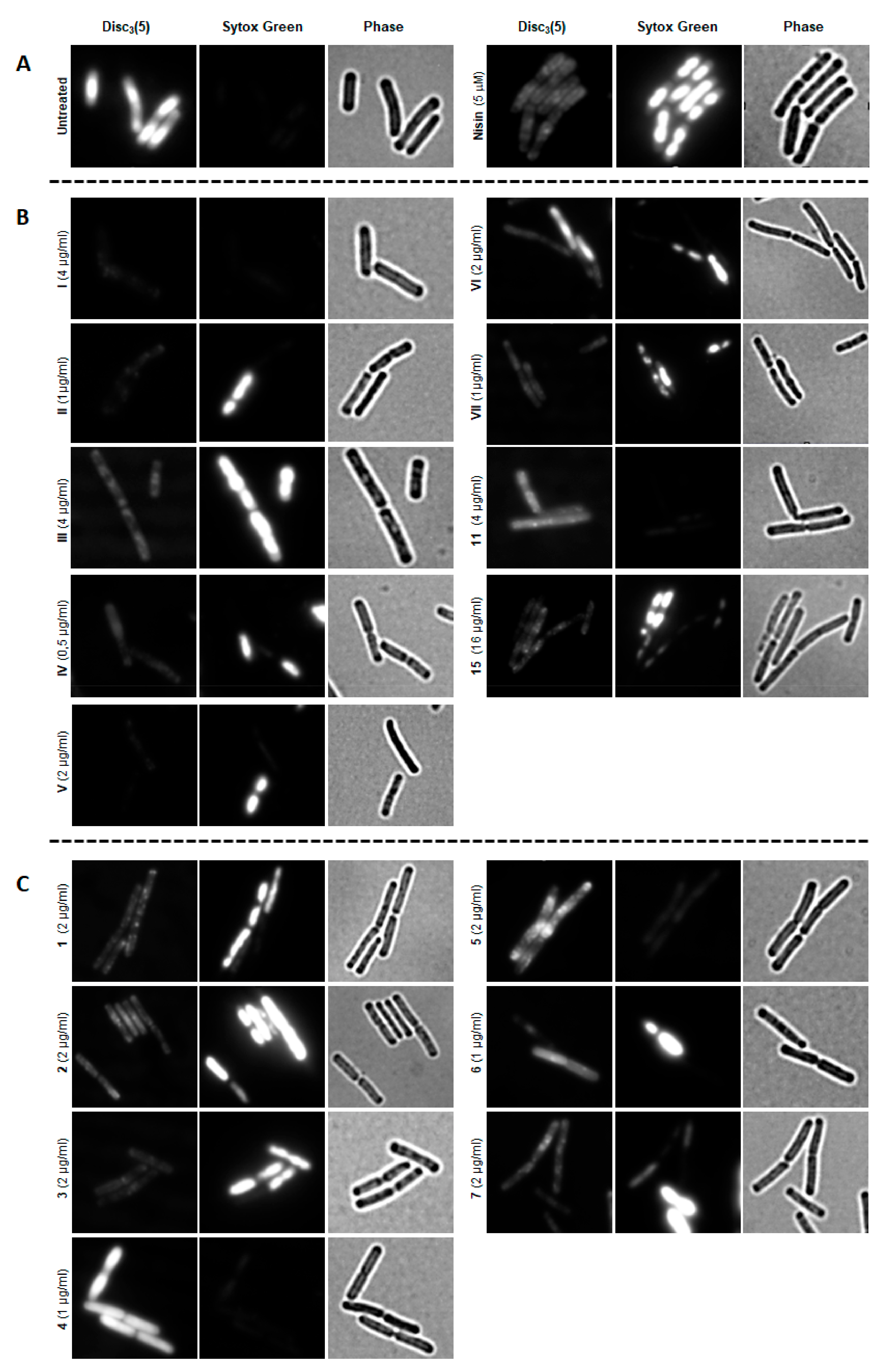 Pharmaceutics 12 00968 g005