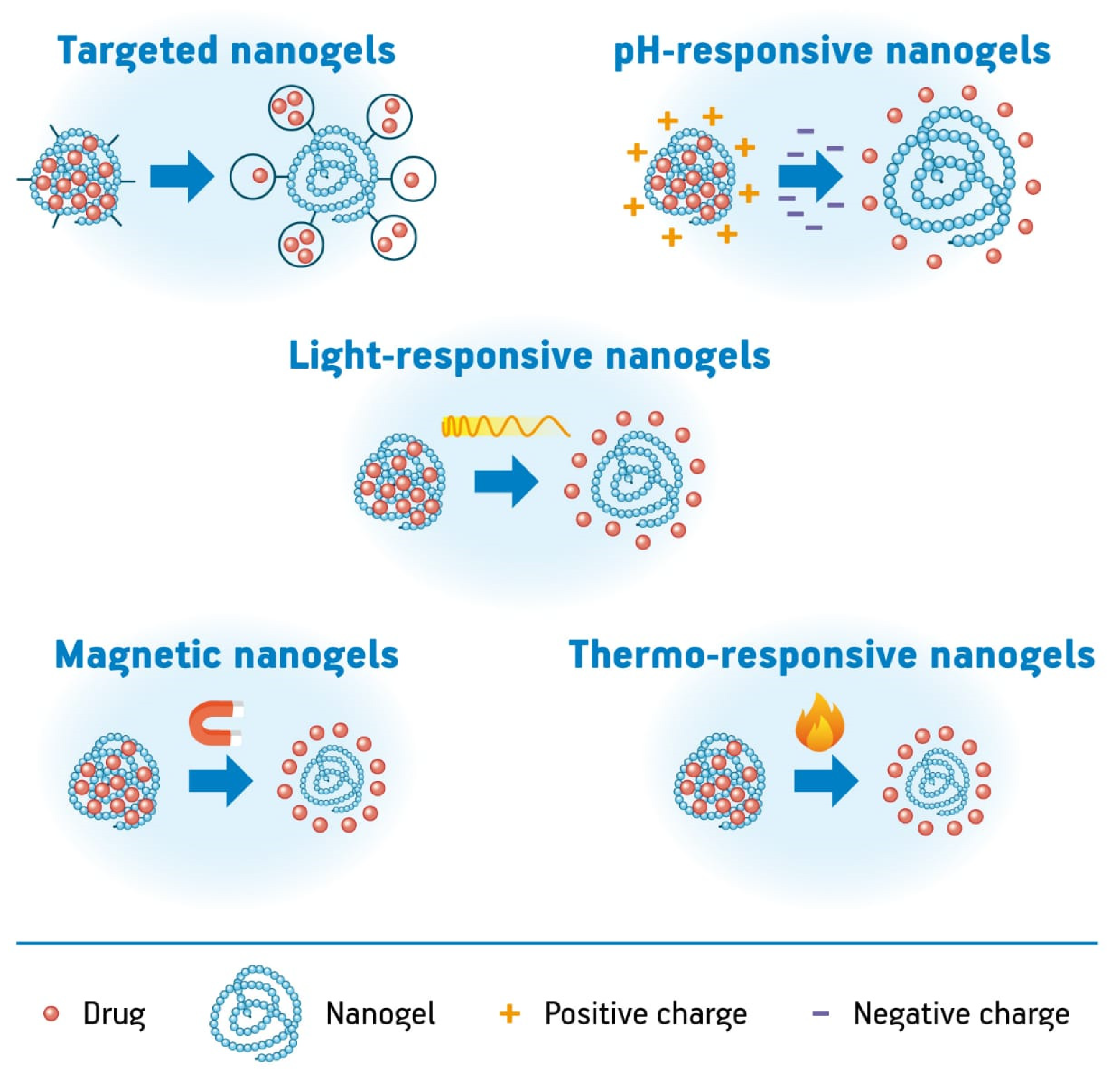 Pharmaceutics 12 00970 g005