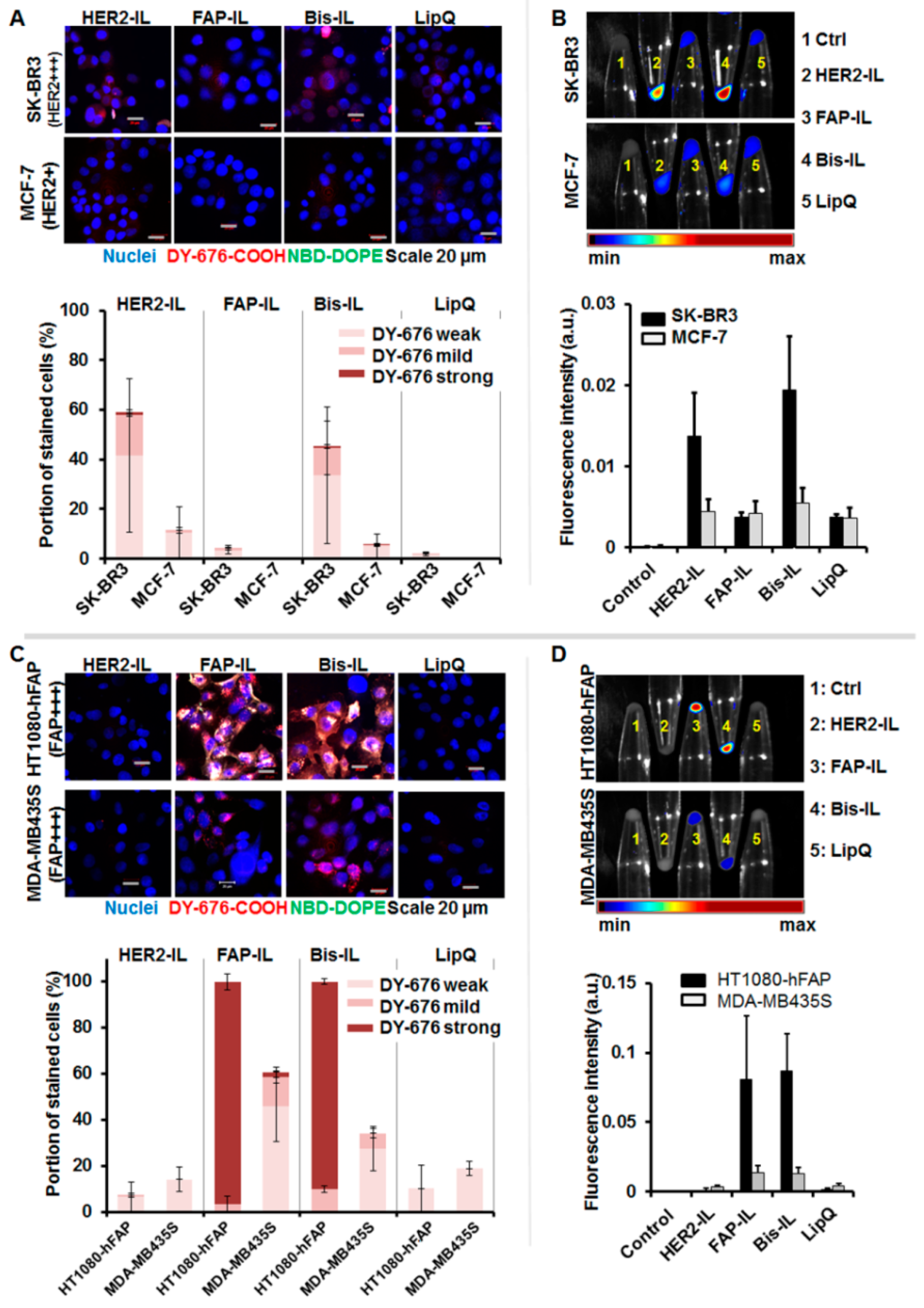 Pharmaceutics 12 00972 g004 Pharmaceutics 12 00972 g004