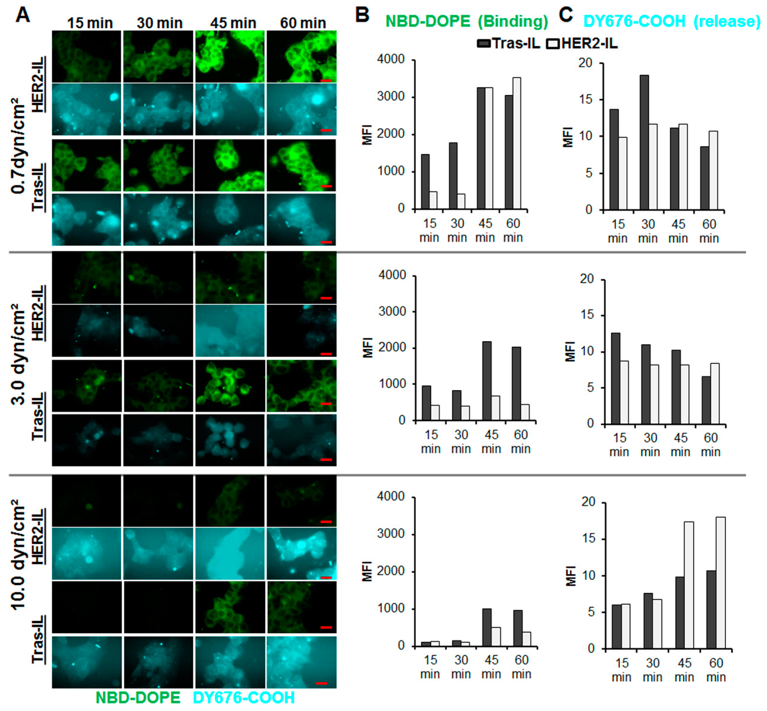 Pharmaceutics 12 00972 g005 Pharmaceutics 12 00972 g005