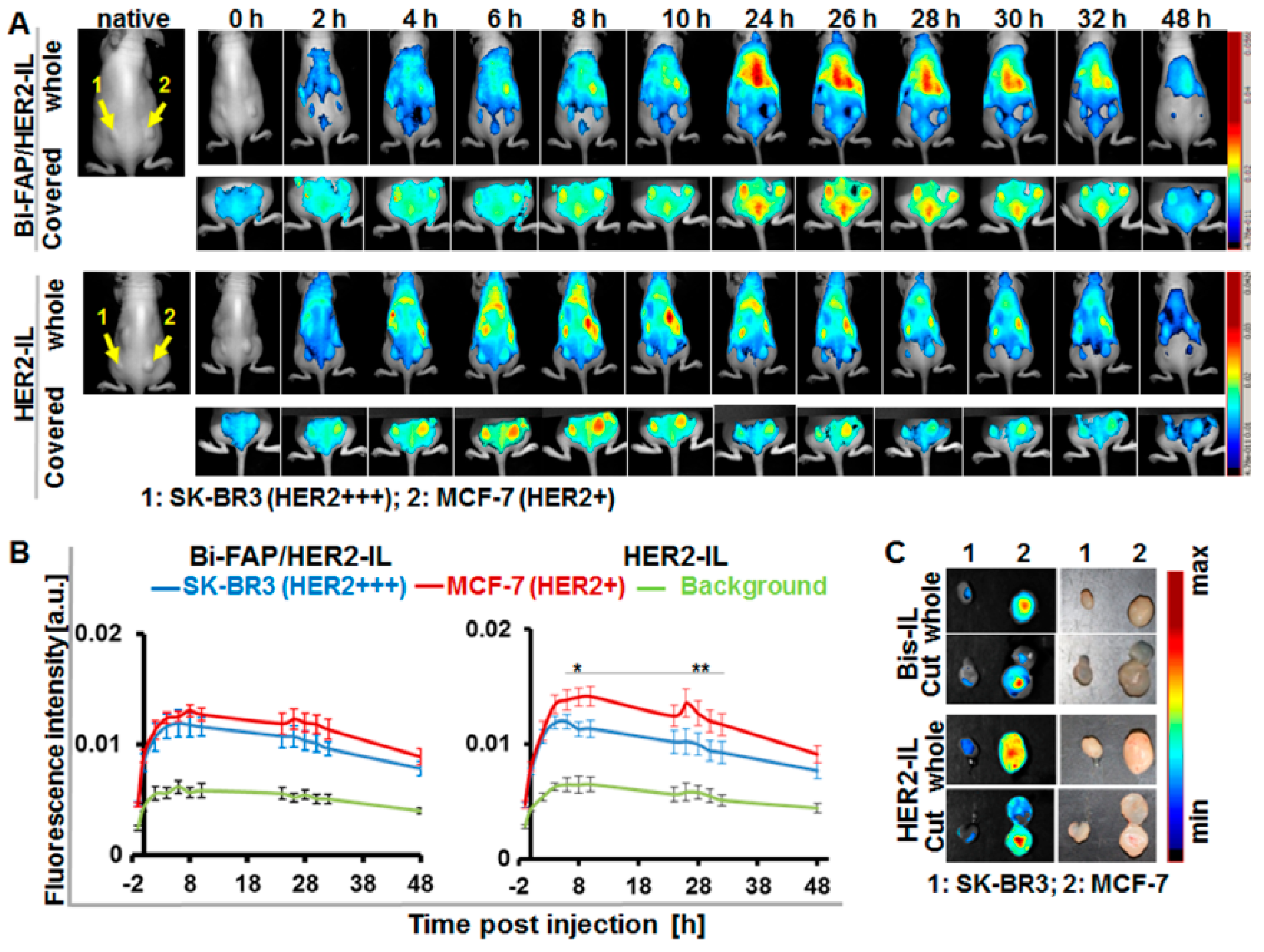 Pharmaceutics 12 00972 g006 Pharmaceutics 12 00972 g006